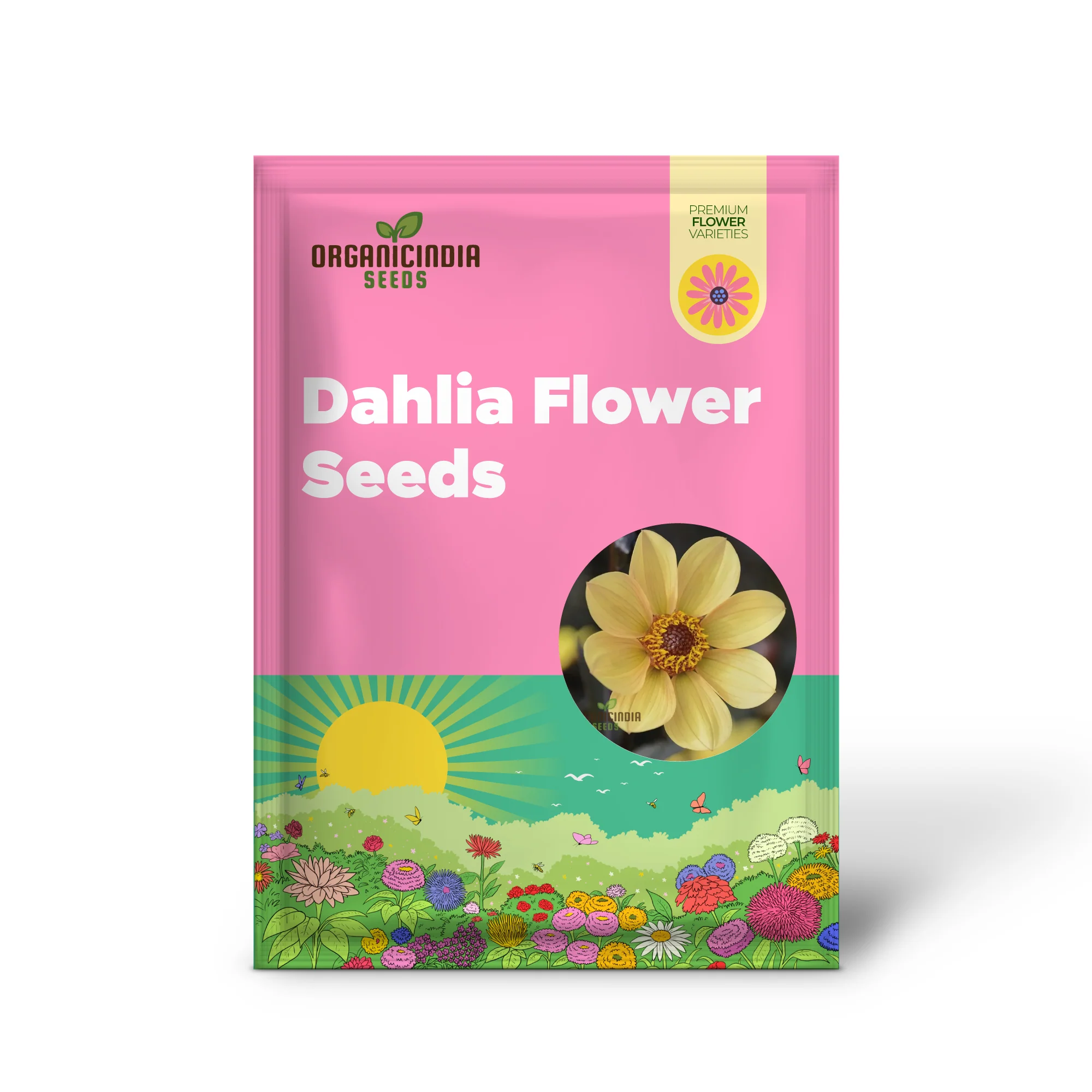 Dahlia Happy Single Party Flower Seeds For Planting, Bright and Cheerful Dahlia Seeds for a Vibrant Garden Celebration - Image 2