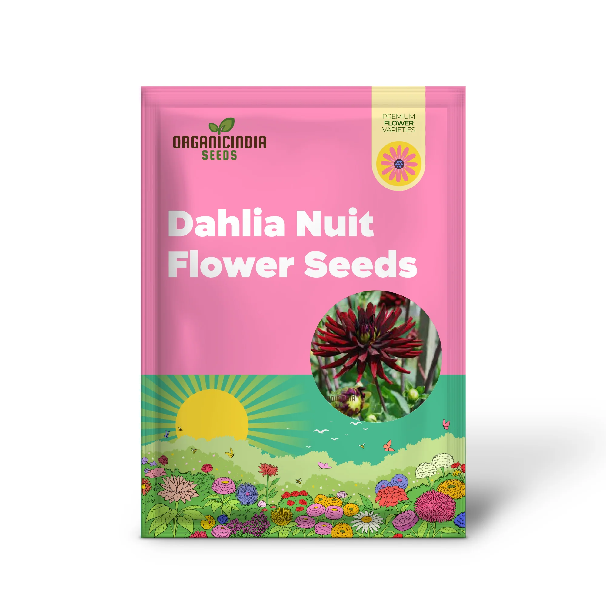 Dahlia Nuit d'Ete 3lt Potted Plant - Premium Quality for Gardening Enthusiasts - Ideal for Seeds and Garden Beautification - Image 2