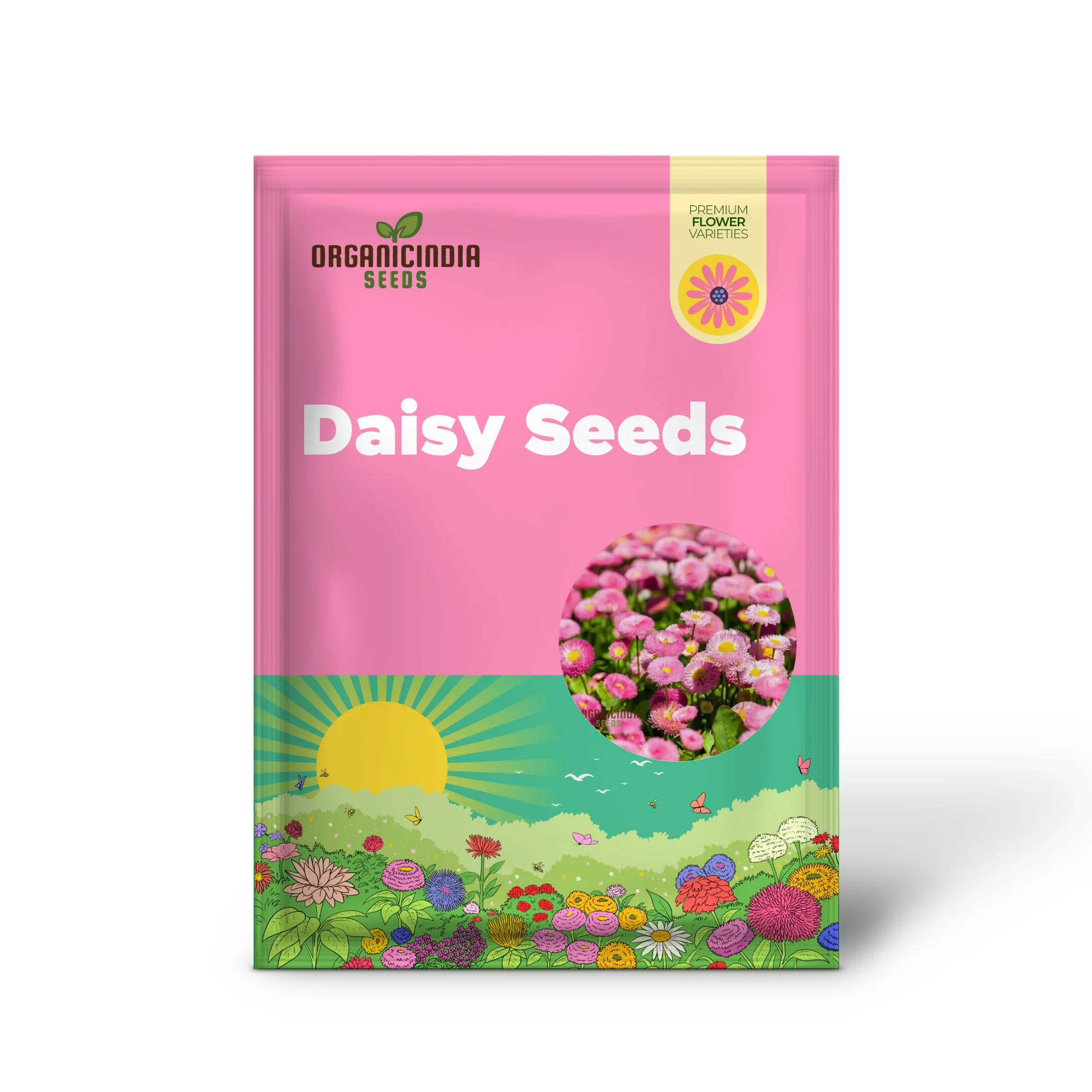 Daisy Double Monstrosa Rose/Pink Seeds (Bellis perennis) - Perfect for Gardening Enthusiasts - Image 2