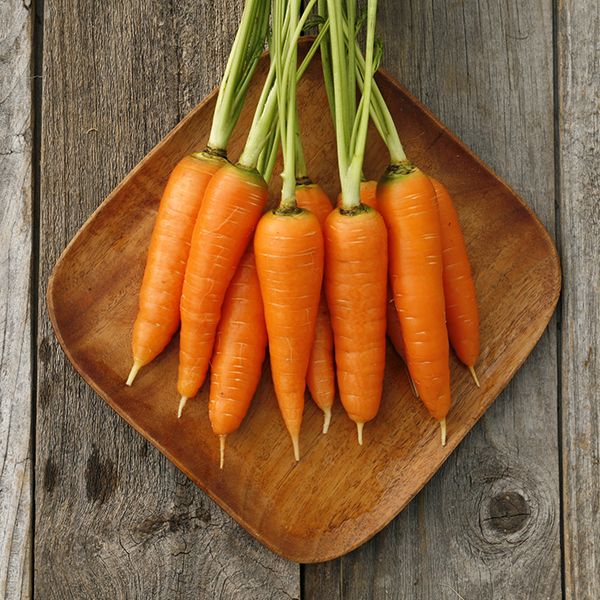 Danvers 126 Carrot Seeds – Heirloom, Sweet & Crisp - High Yield & Easy to Grow - Image 3