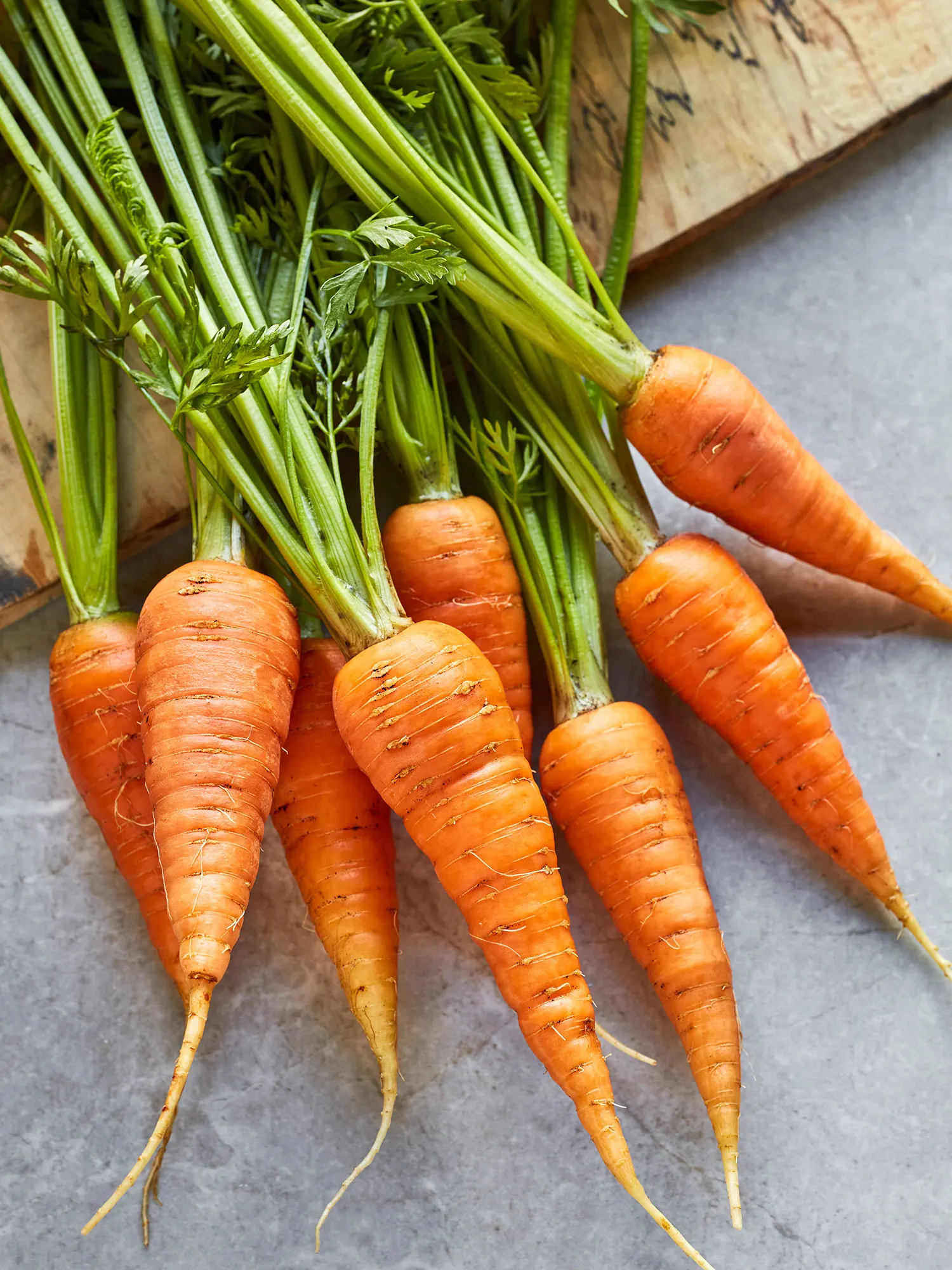 Danvers 126 Carrot Seeds – Heirloom, Sweet & Crisp - High Yield & Easy to Grow - Image 4