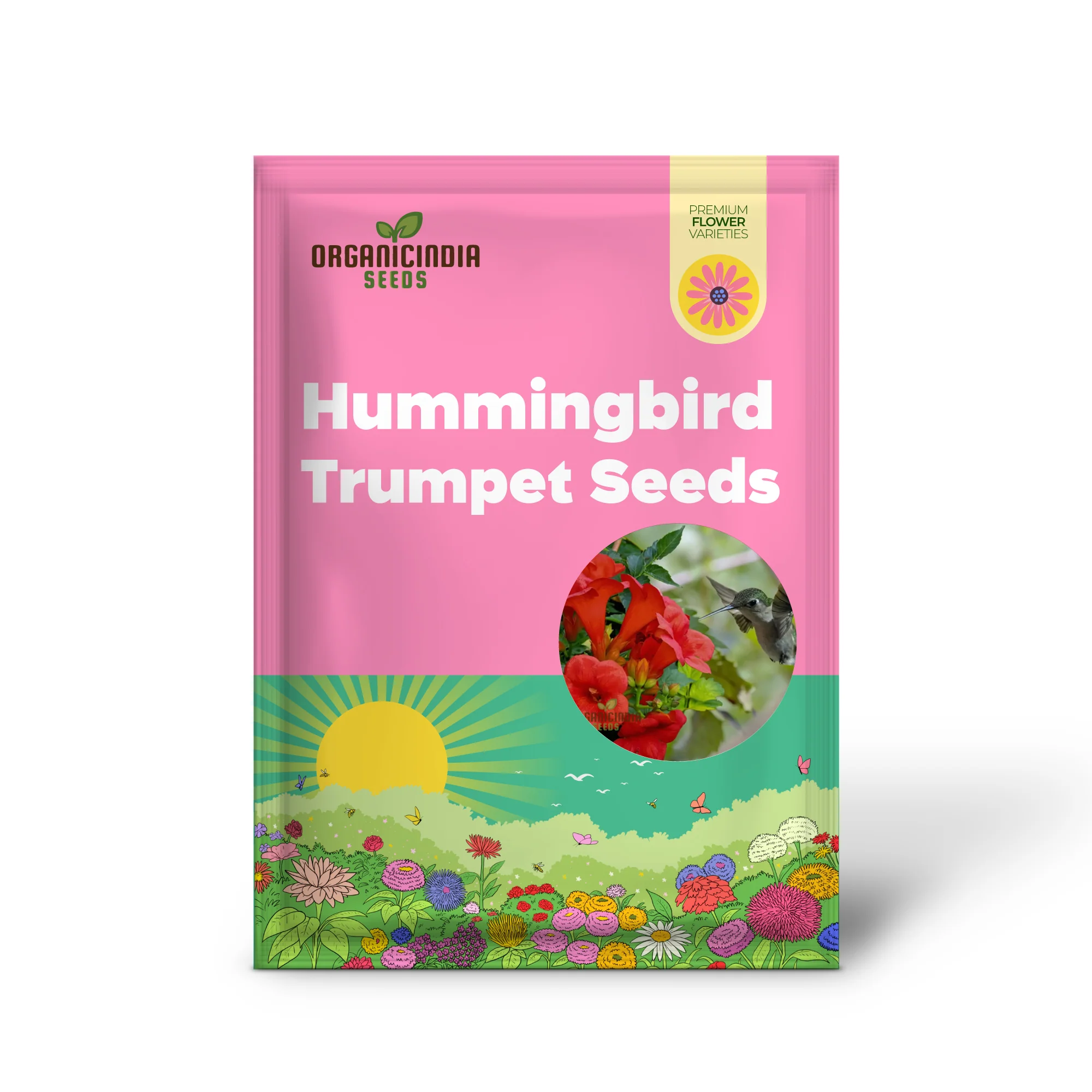 Trumpet Vine Seeds (Dark Red Hummingbird Trumpet Vine Seeds) - Dramatic Blooms That Attract Hummingbirds - Image 6