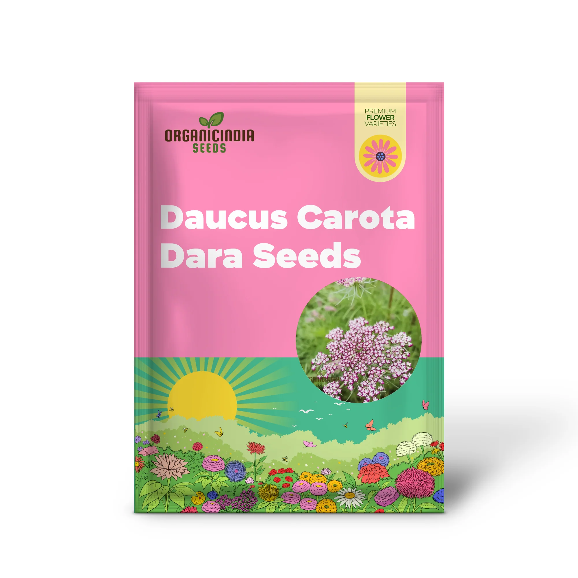 Daucus Carota Dara Seeds – Premium Ornamental Carrot Flower Variety for Colorful Garden Blooms - Image 2