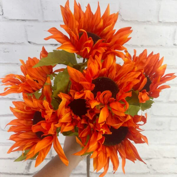 Deep Orange Sunflower Seeds – Bold, Fiery Blooms for Gardens & Pollinators - Image 2