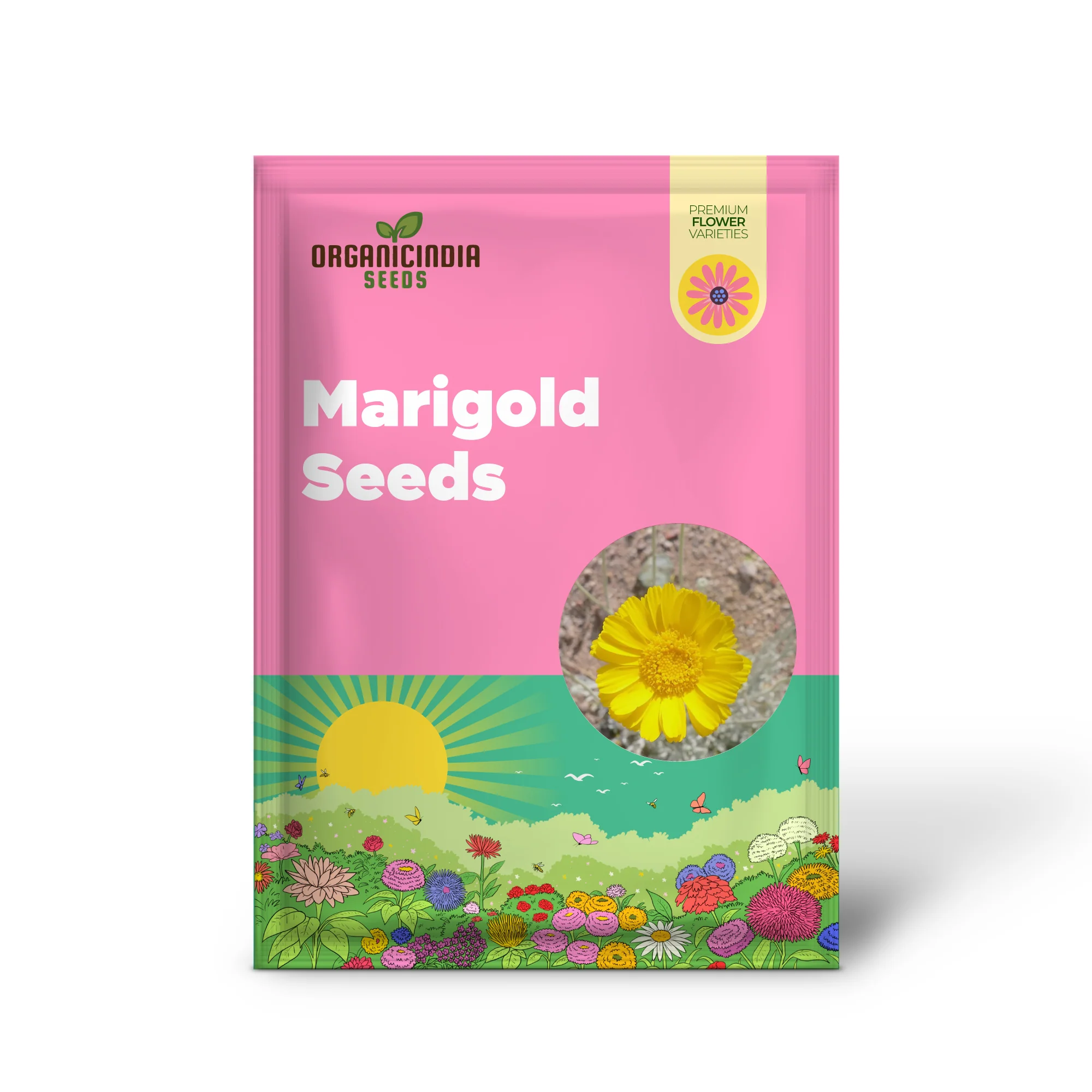 Marigold Seeds (Desert Marigold Seeds Baileya Multiradiata) - Drought-Tolerant Perennial for Rock Gardens - Image 2