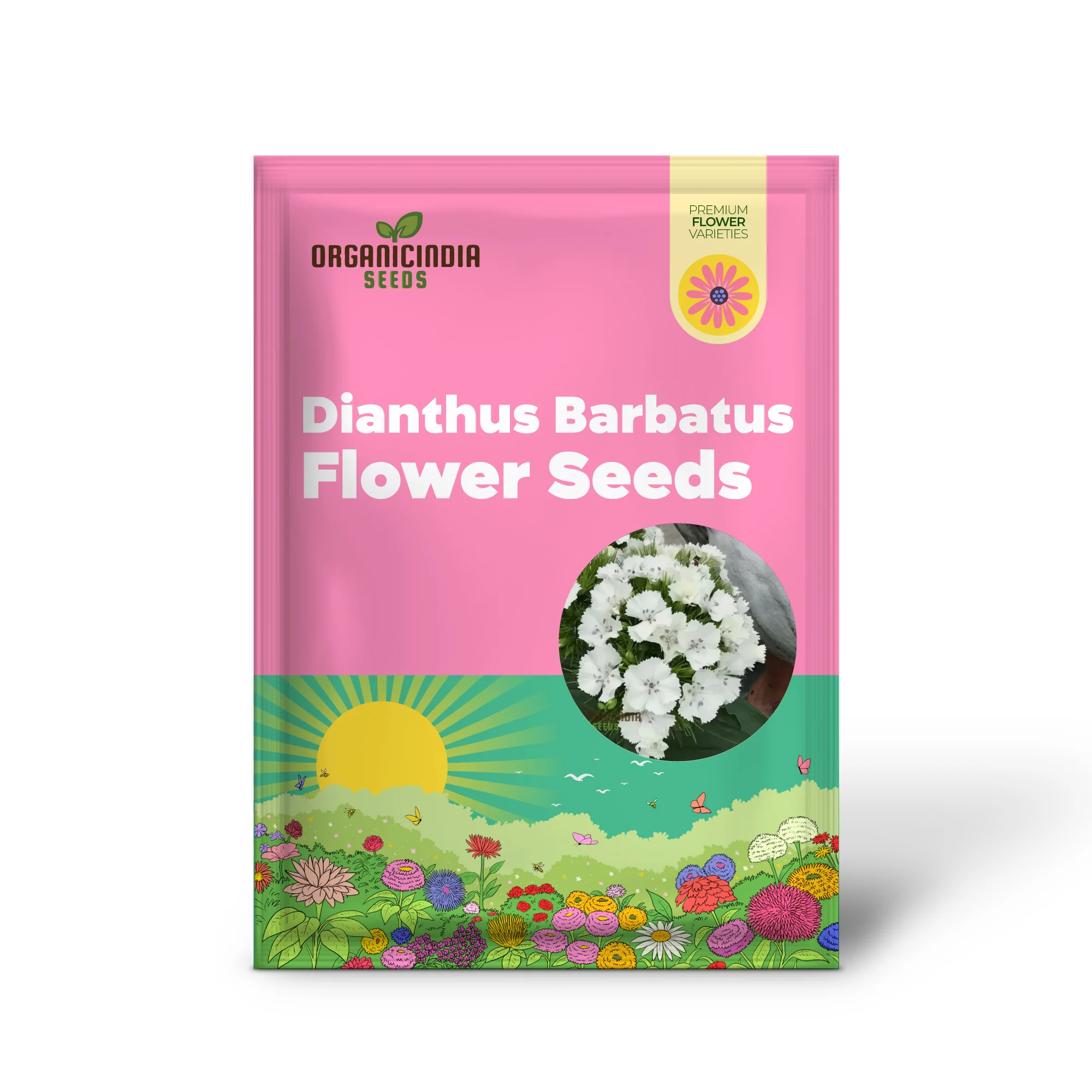 Dianthus Barbatus White Flower Seeds For Planting, Elegant Additions to Your Garden - Image 2