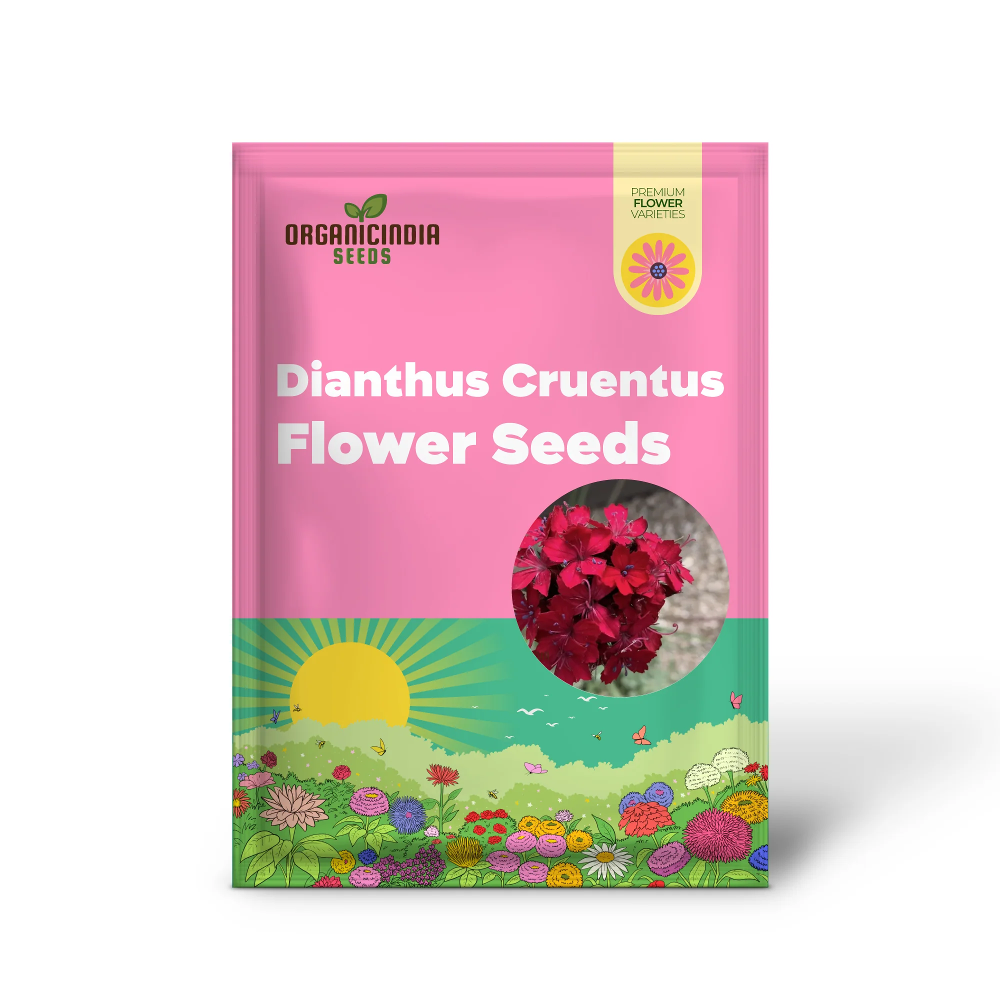 Dianthus Cruentus Flower Seeds For Planting, Bold and Beautiful Blooms for Your Garden - Image 2