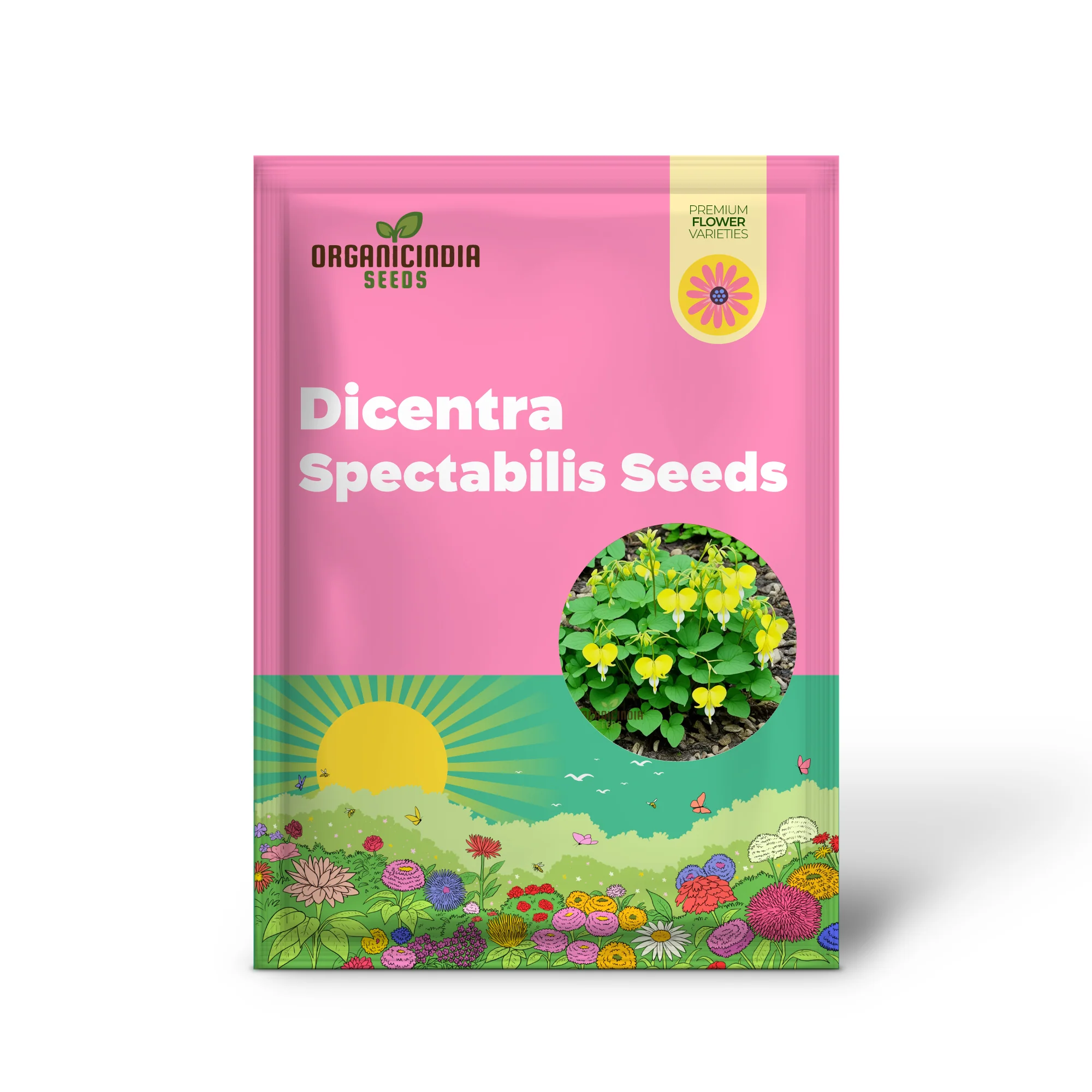 Buy Dicentra Spectabilis Seeds Premium Bleeding Heart Seeds for Beautiful Gardens - Image 2