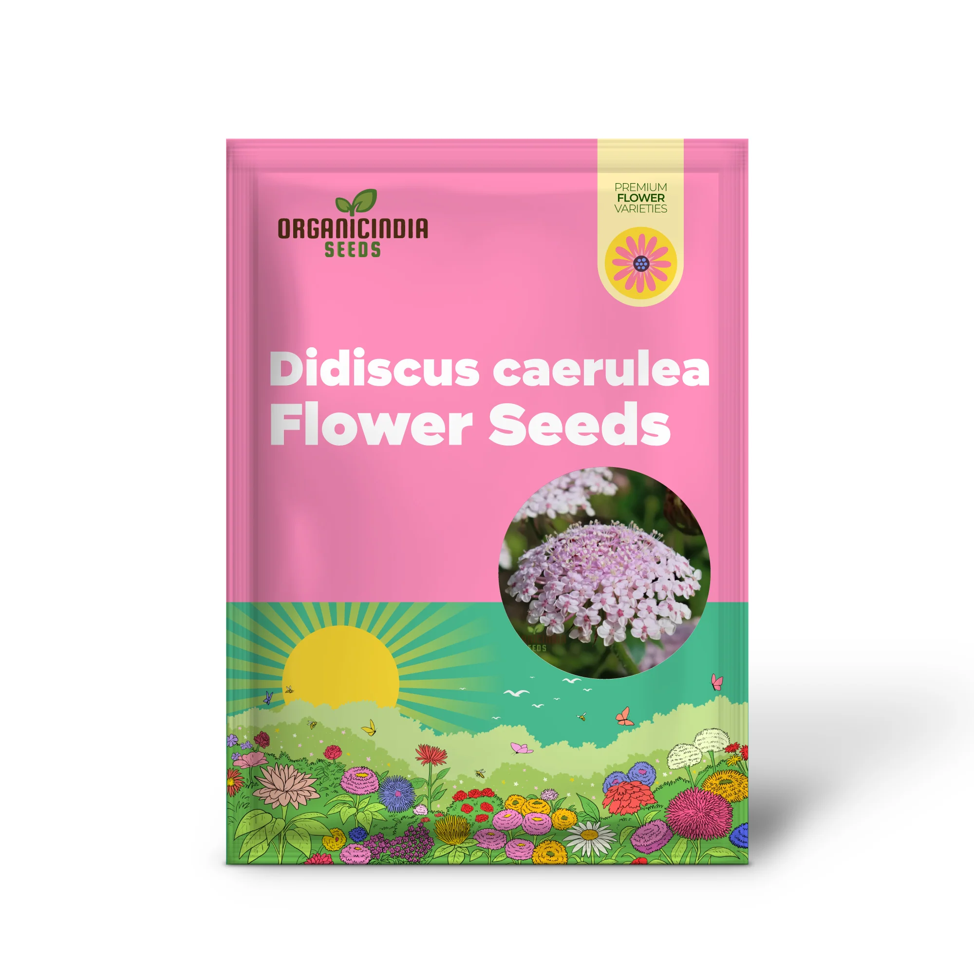Didiscus caerulea Lacy Pink Flower Seeds, Cultivating Elegant Beauty in Your Garden with Expert Seed Planting and Gardening Techniques" - Image 2