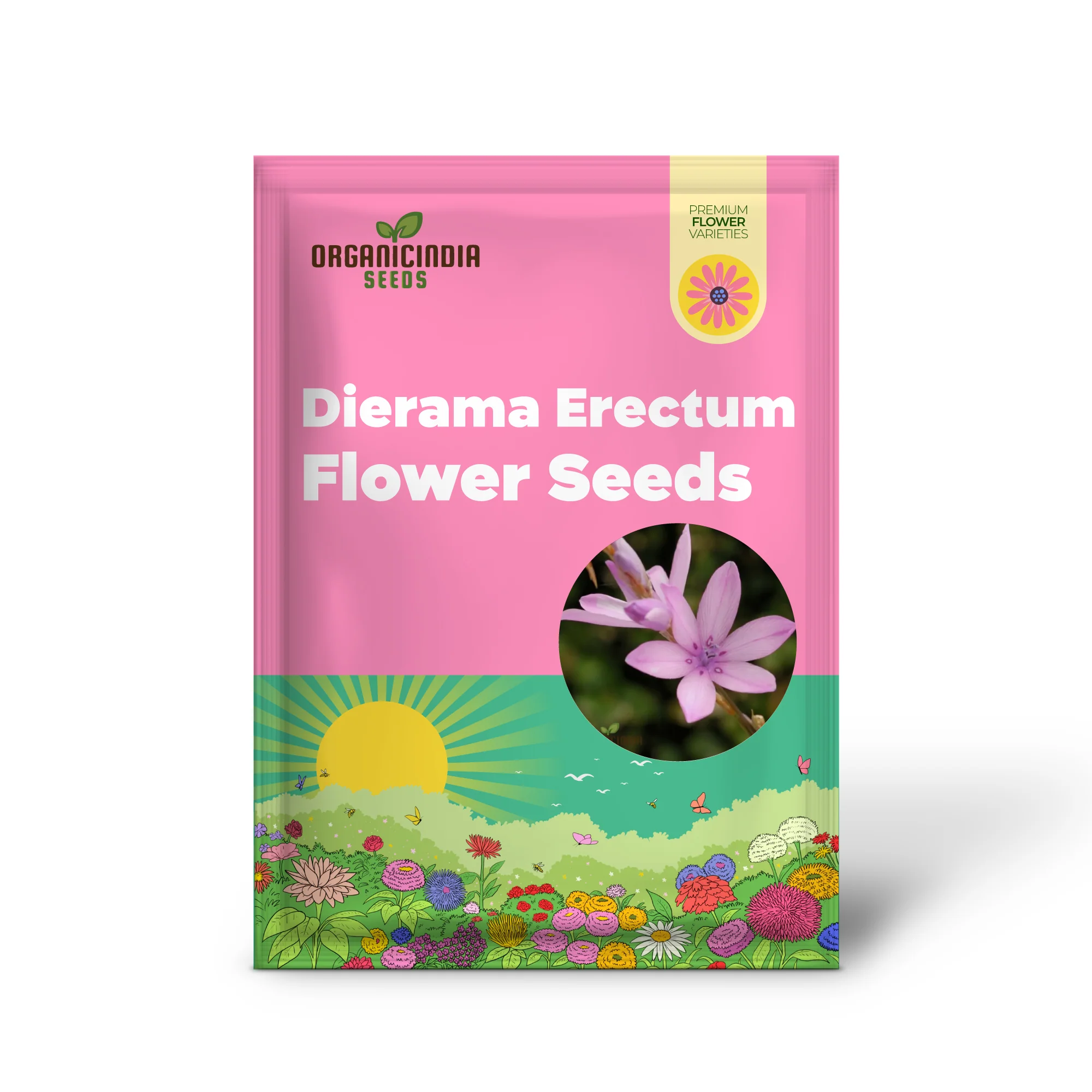 Dierama Erectum Flower Seeds for Planting, Add Sparkle and Elegance to Your Garden - Image 2