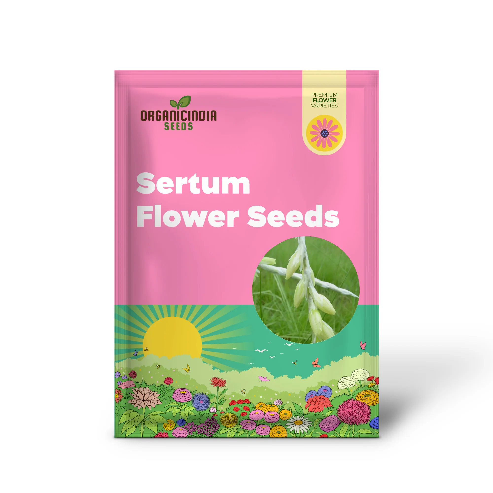 Dierama Sertum Flower Seeds For Planting, Enhance Your Garden with Graceful and Colorful Blooms - Image 2
