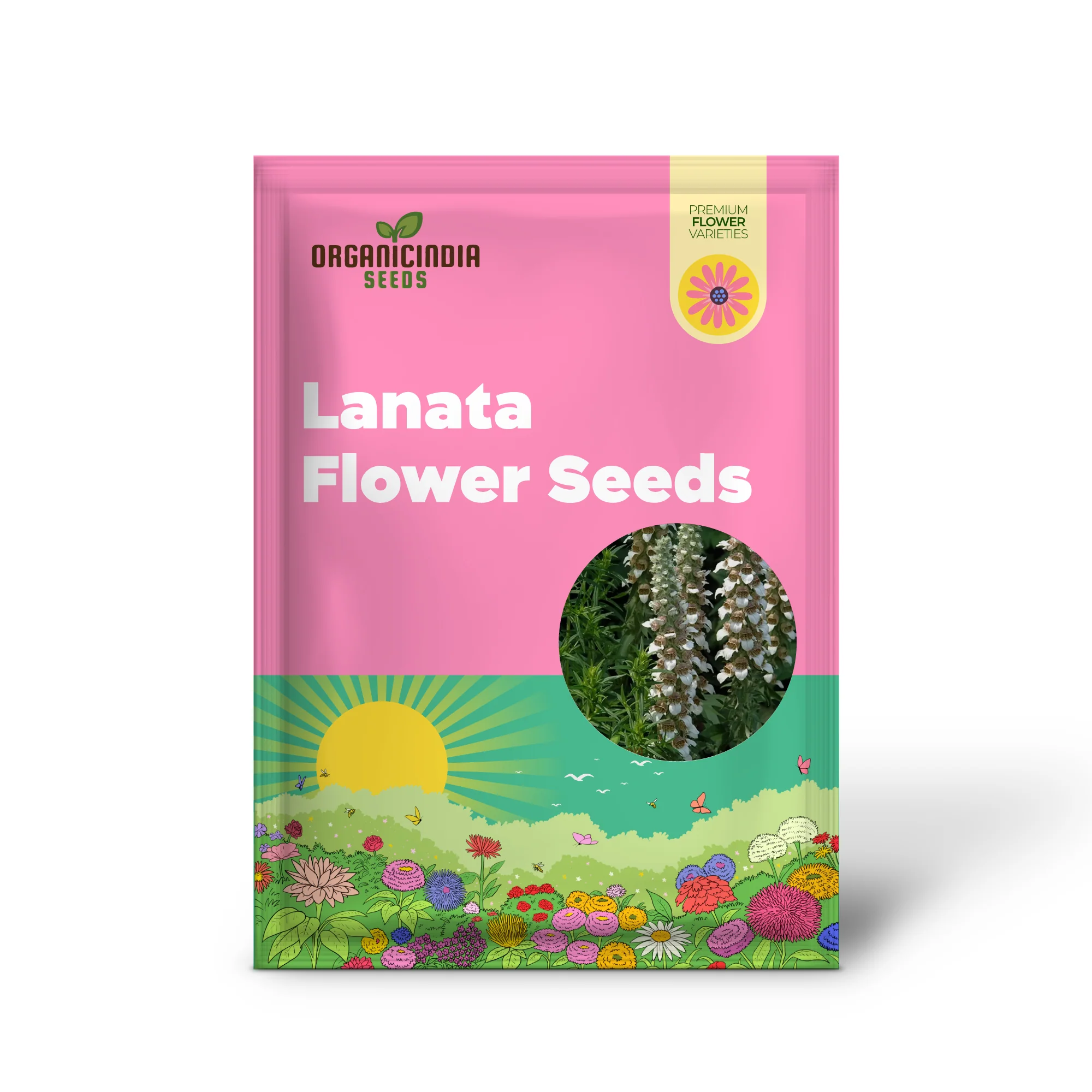 Digitalis Lanata Flower Seeds For Planting, Elegant Foxglove Blooms for a Stunning Garden - Image 2