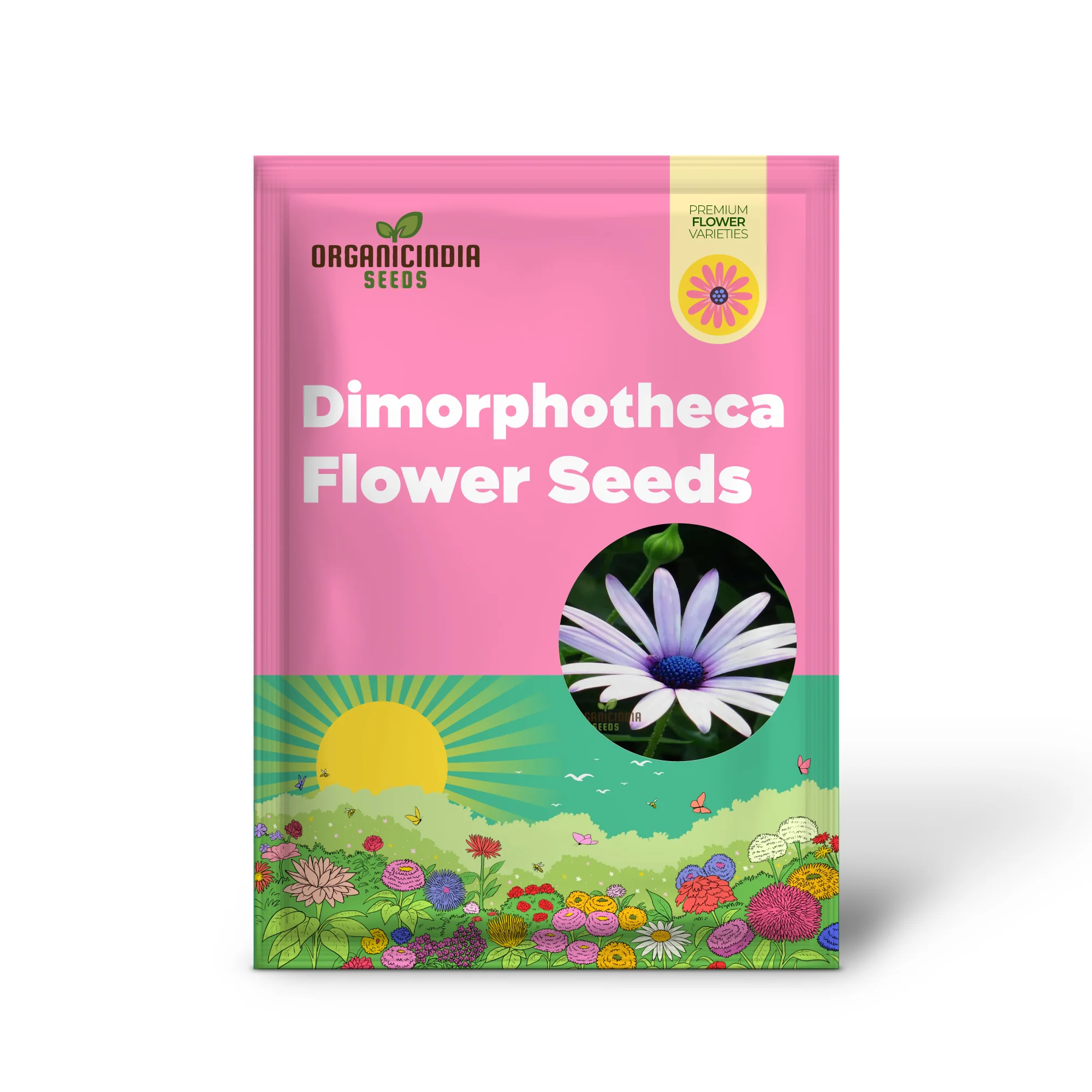 Dimorphotheca White Flower Seeds - Pure and Elegant Blooms for Serene Garden Settings - Image 2