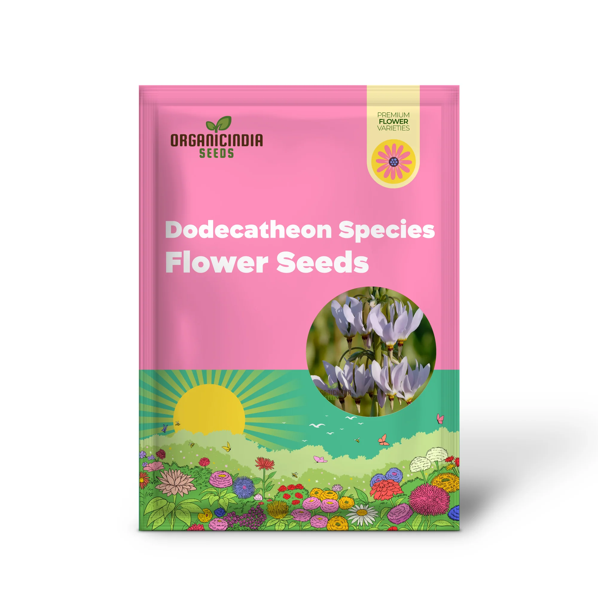 Dodecatheon Species Mixed Flower Seeds, A Kaleidoscope of Wildflower Beauty - Image 2