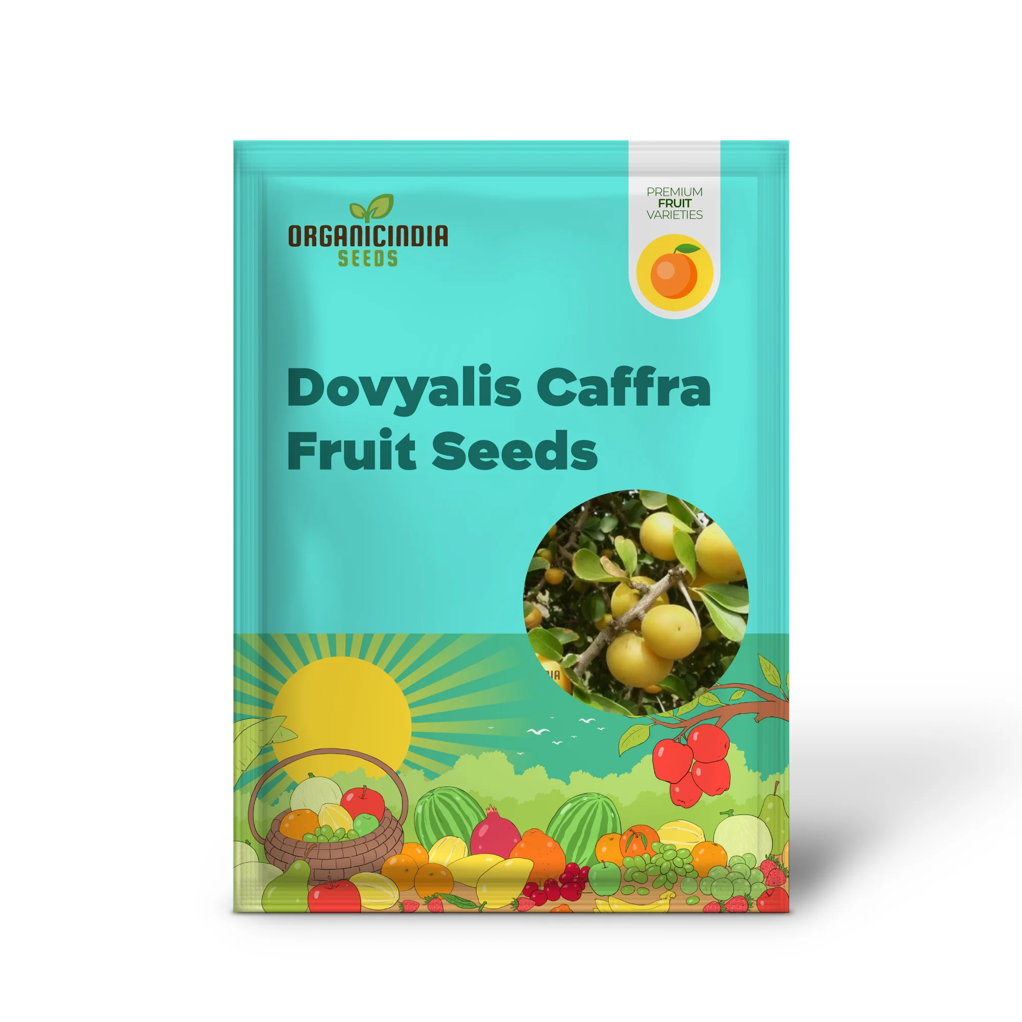 Dovyalis Caffra Fruit Seeds For Planting, Cultivating Exotic Flavor and Nutrition - Image 2