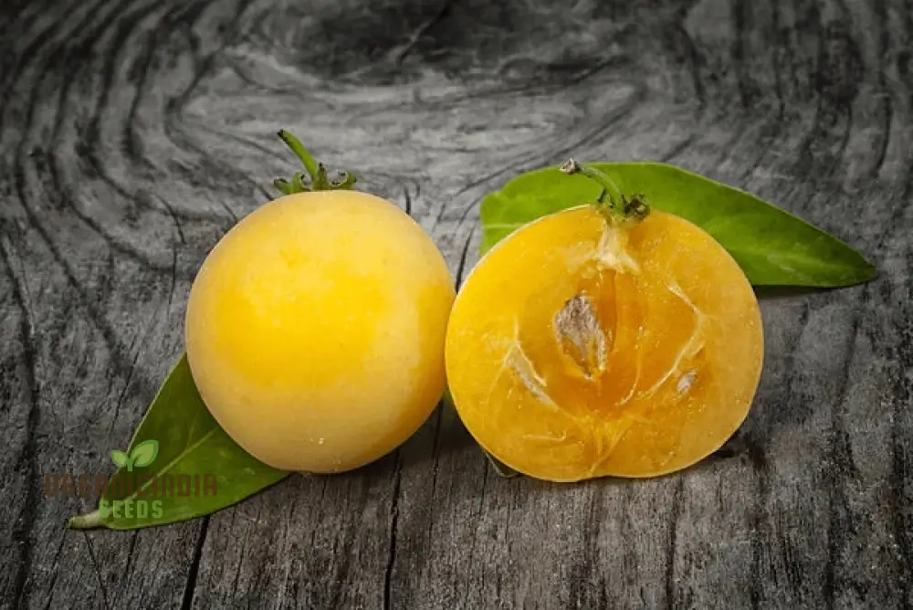 Dovyalis Caffra Fruit Seeds For Planting, Cultivating Exotic Flavor and Nutrition - Image 3