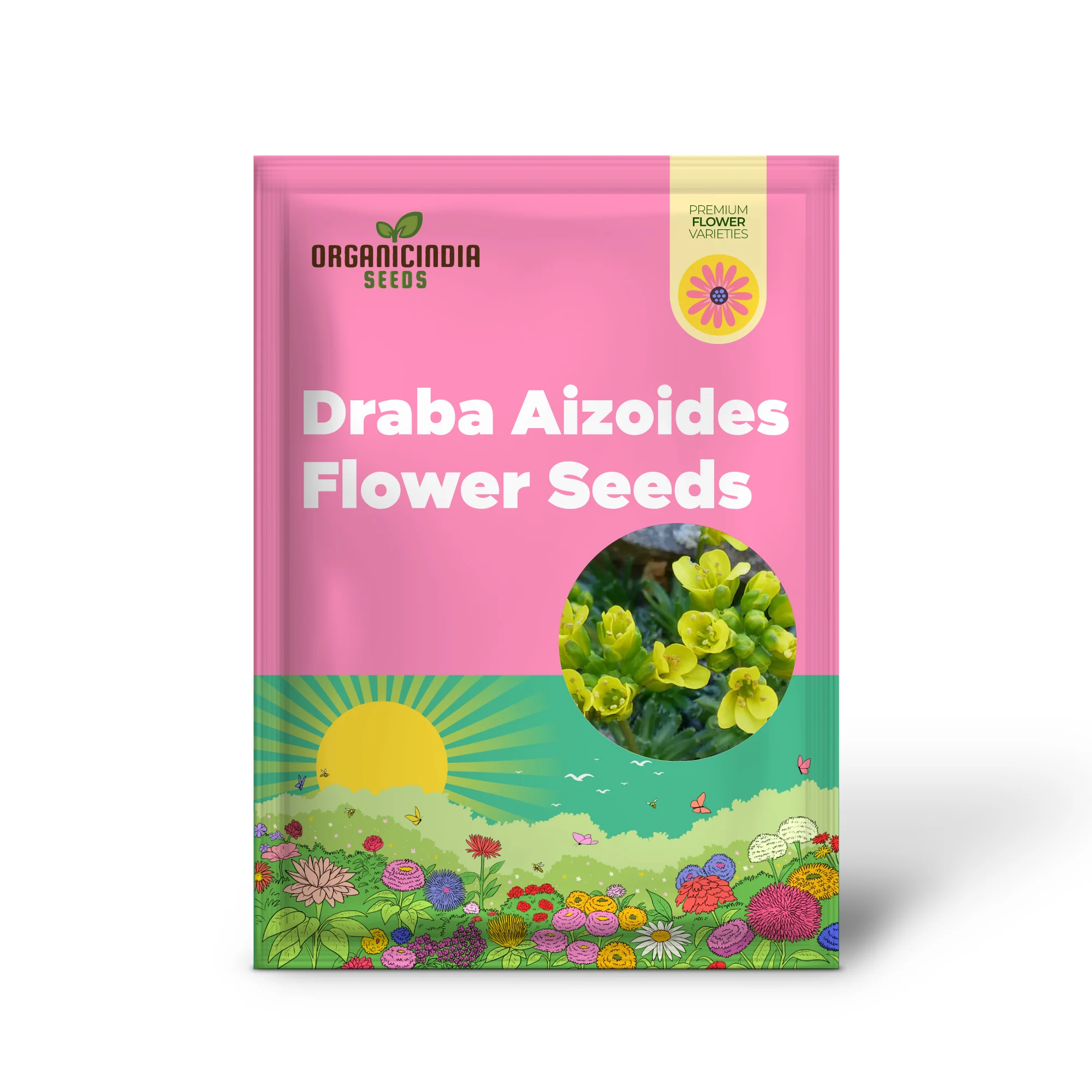 Draba Aizoides Flower Seeds For Planting, A Touch of Alpine Splendor - Image 2