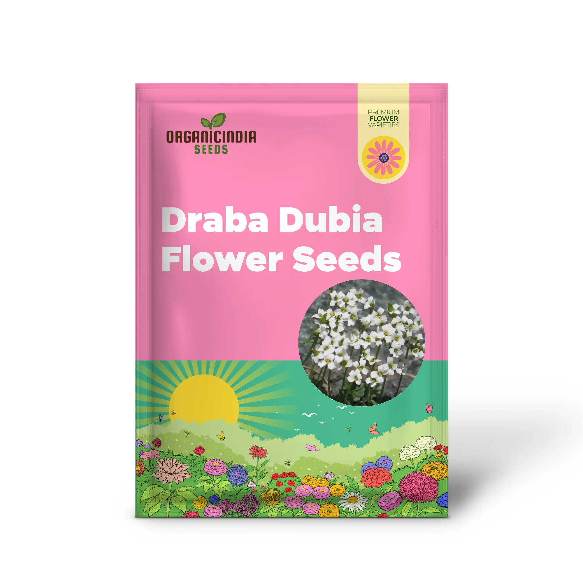 Draba Dubia Flower Seeds For Planting, Bringing Alpine Charm to Your Garden - Image 2