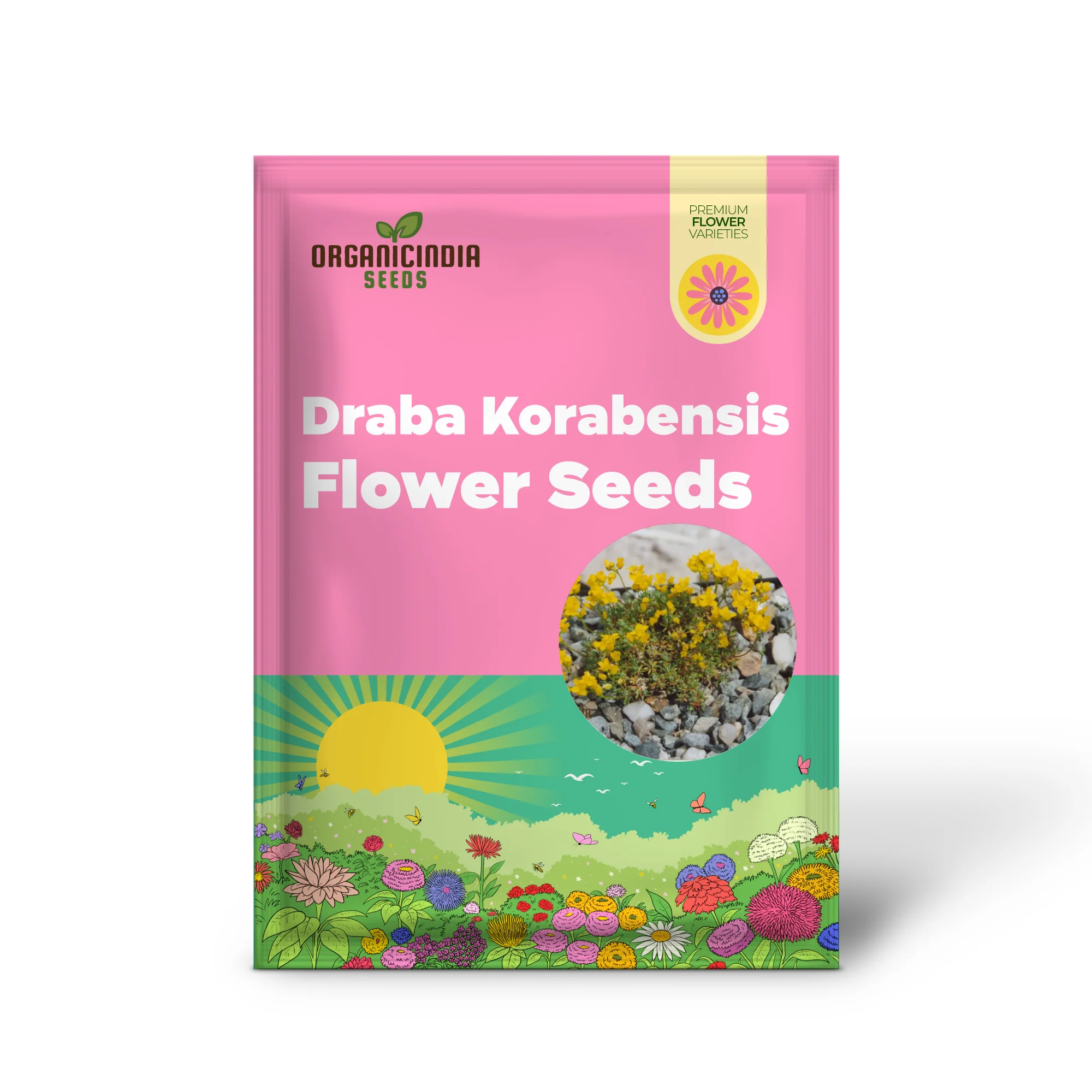Draba Korabensis Flower Seeds For Planting, Rare Alpine Elegance for Your Garden - Image 2