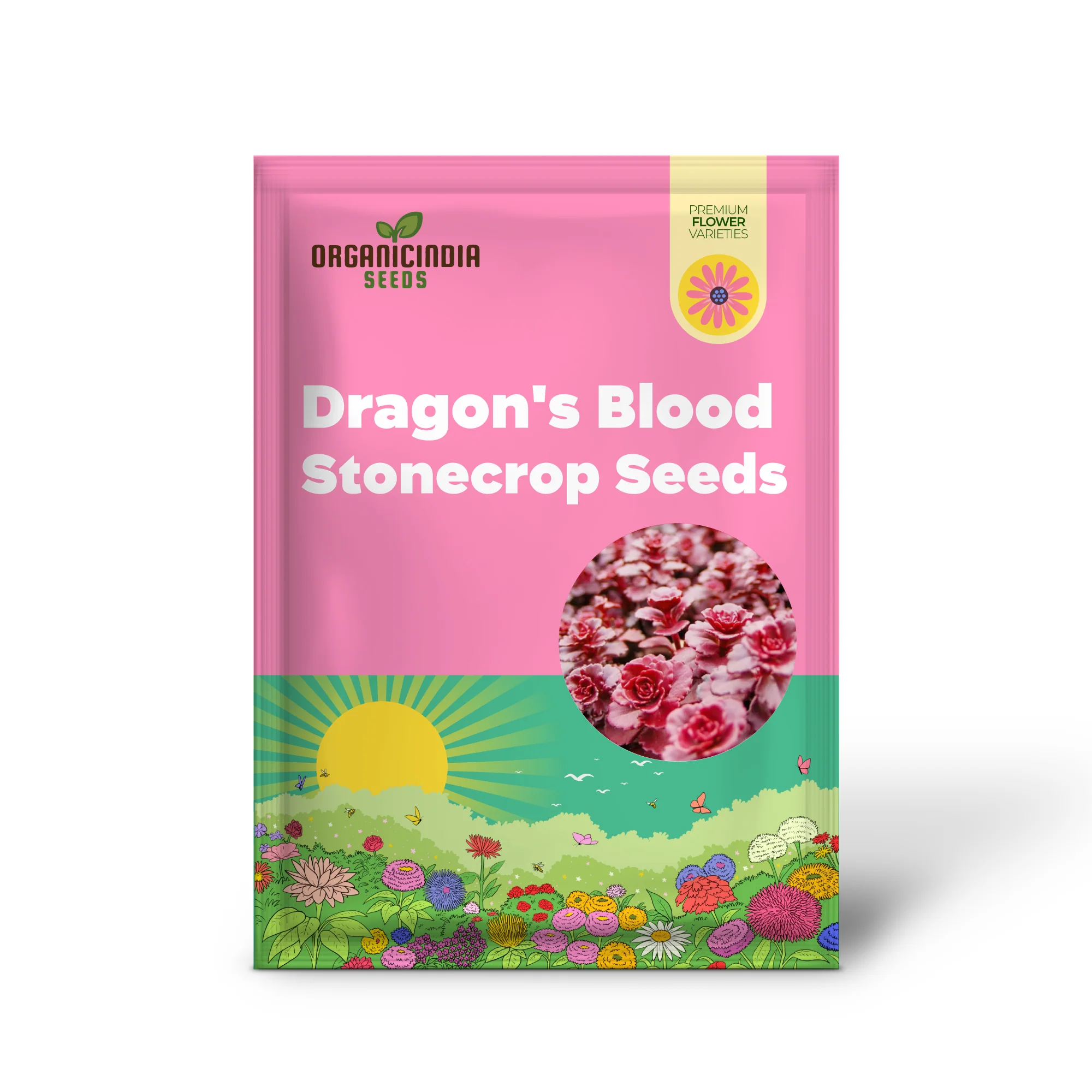 Dragon's Blood Stonecrop Seeds for Planting - Image 2