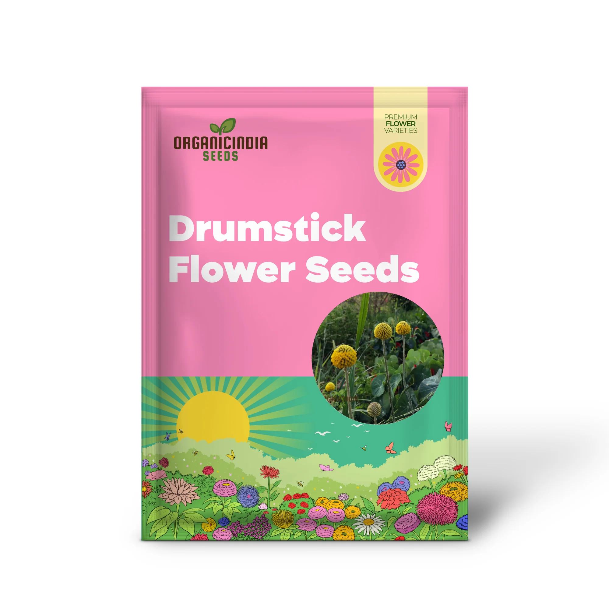 Drumstick Flower Seeds, Cultivating Unique Beauty in Your Garden with Expert Planting and Gardening - Image 2