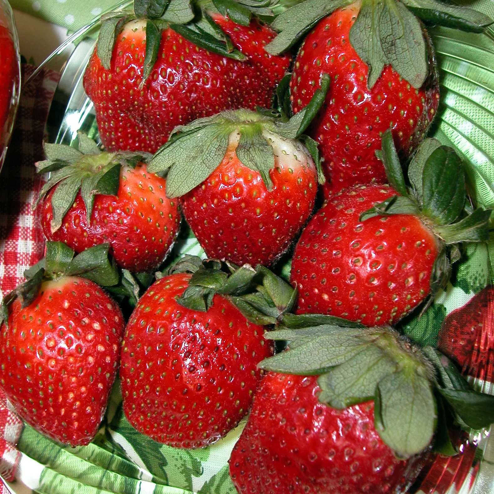 Duchesnea Harlequin Strawberry fruit Seeds, Growing Exquisite Fruits and Seeds for Your Gardening and Planting Pleasure
