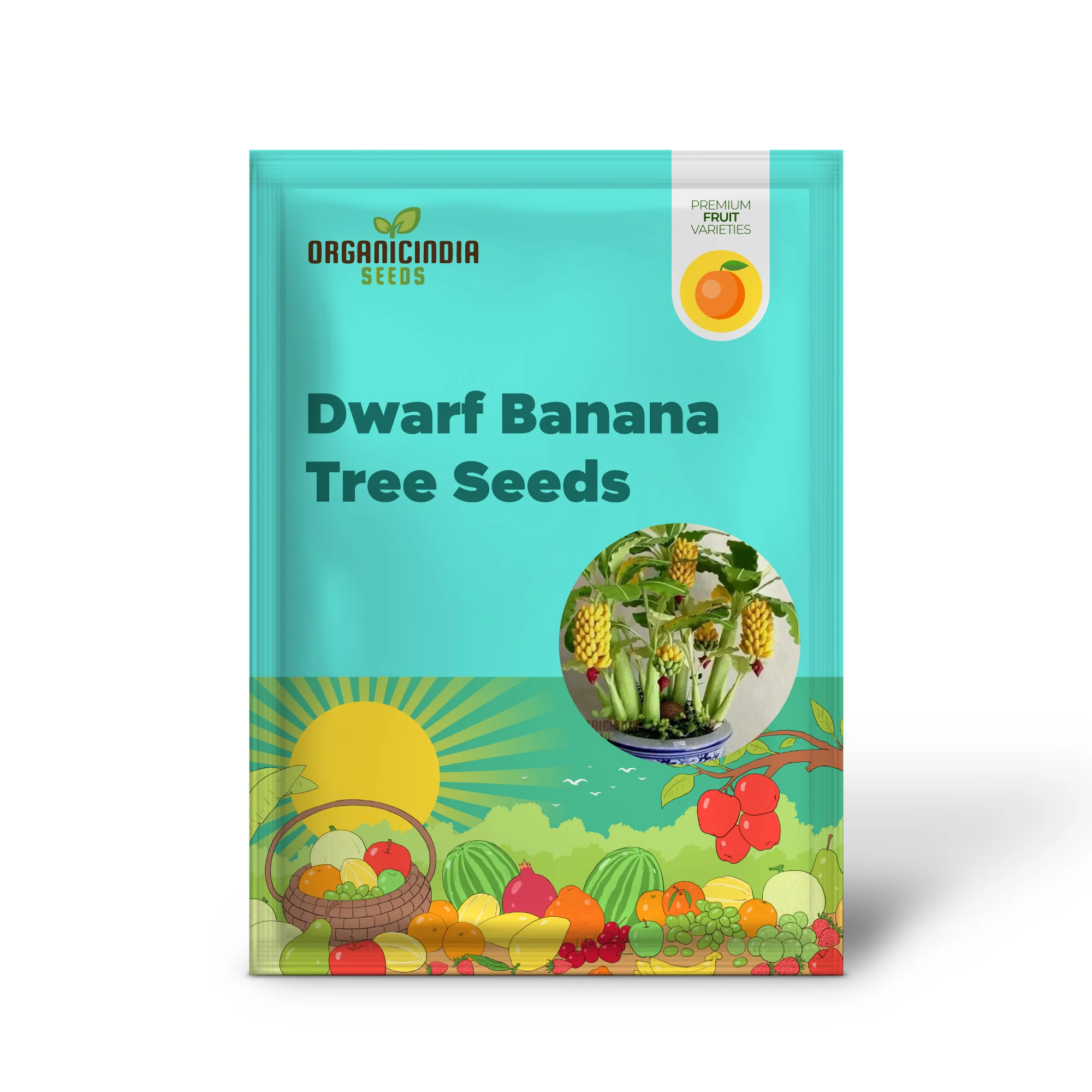 Dwarf Banana Tree Seeds for Lush, Exotic Gardening - Ideal for Indoor and Outdoor Spaces - Image 2