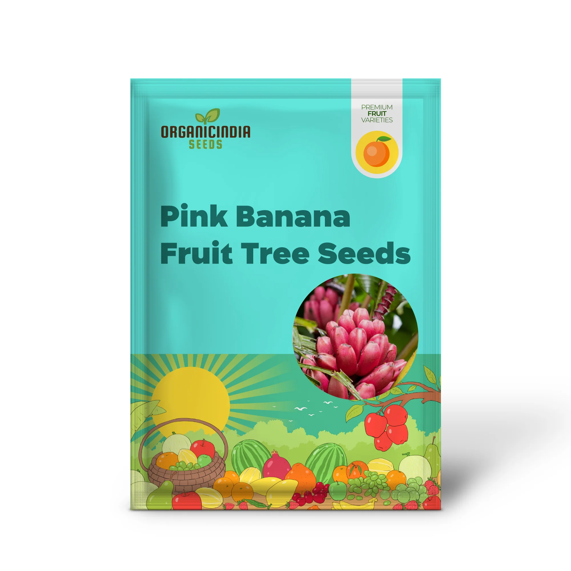 Dwarf Pink Banana Fruit Tree Seeds - Image 2
