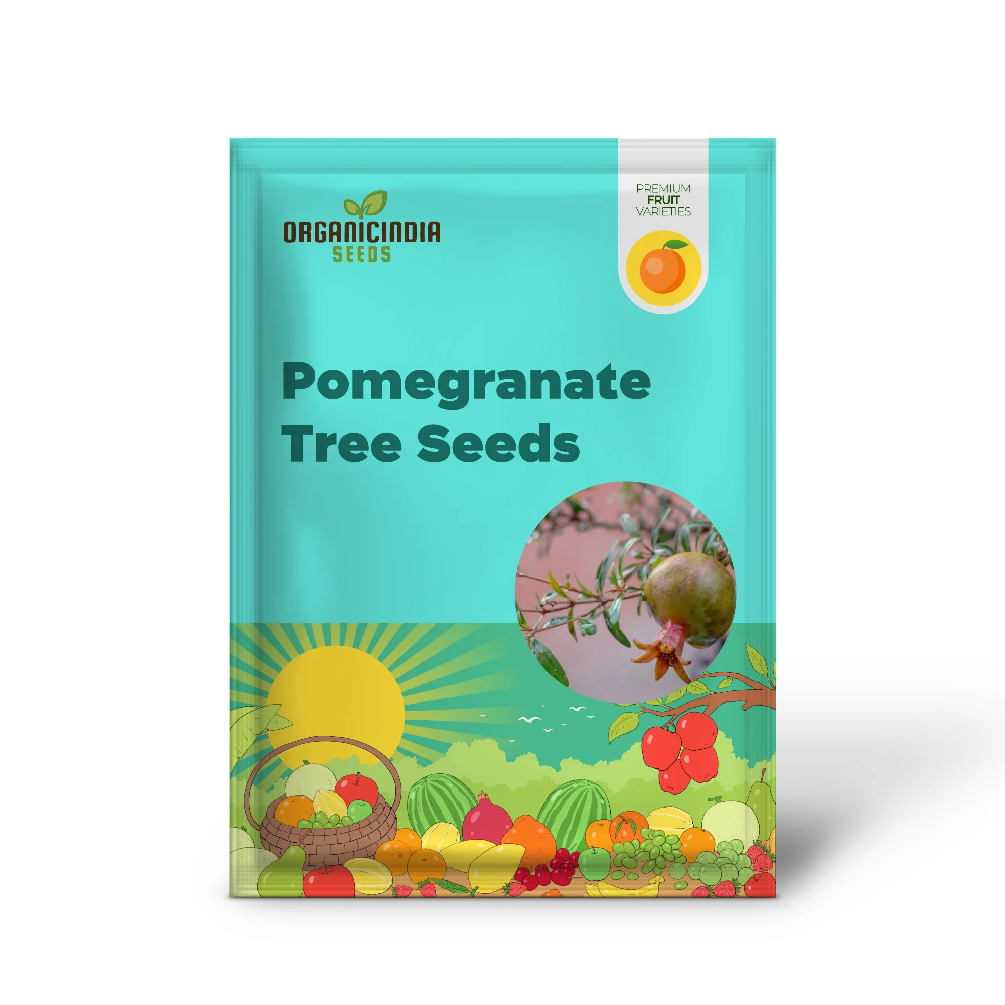 Dwarf Pomegranate Tree (Punica granatum 'Nana') – Seeds - Image 2