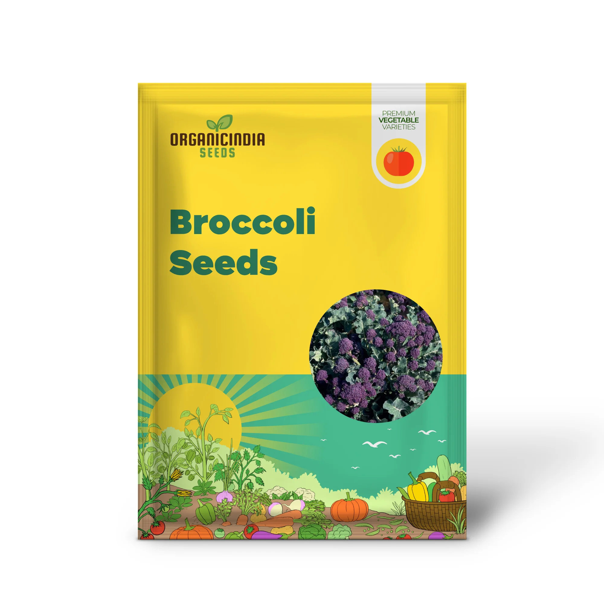 Purple Broccoli Seeds for Planting for Bountiful Garden - Image 2