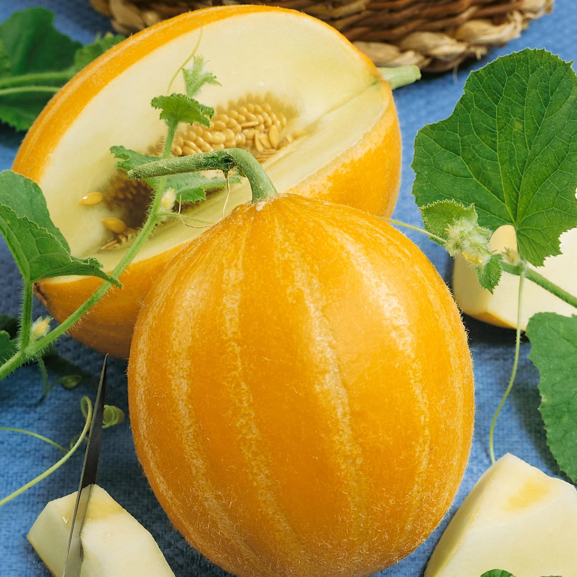 Early Silver Line Melon (Cucumis melo) – Yellow Striped Skin White Flesh Korean Fruit Seeds