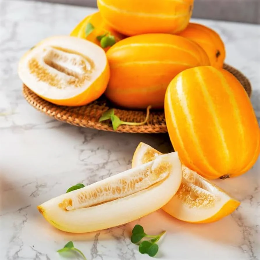 Early Silver Line Melon (Cucumis melo) – Yellow Striped Skin White Flesh Korean Fruit Seeds - Image 3
