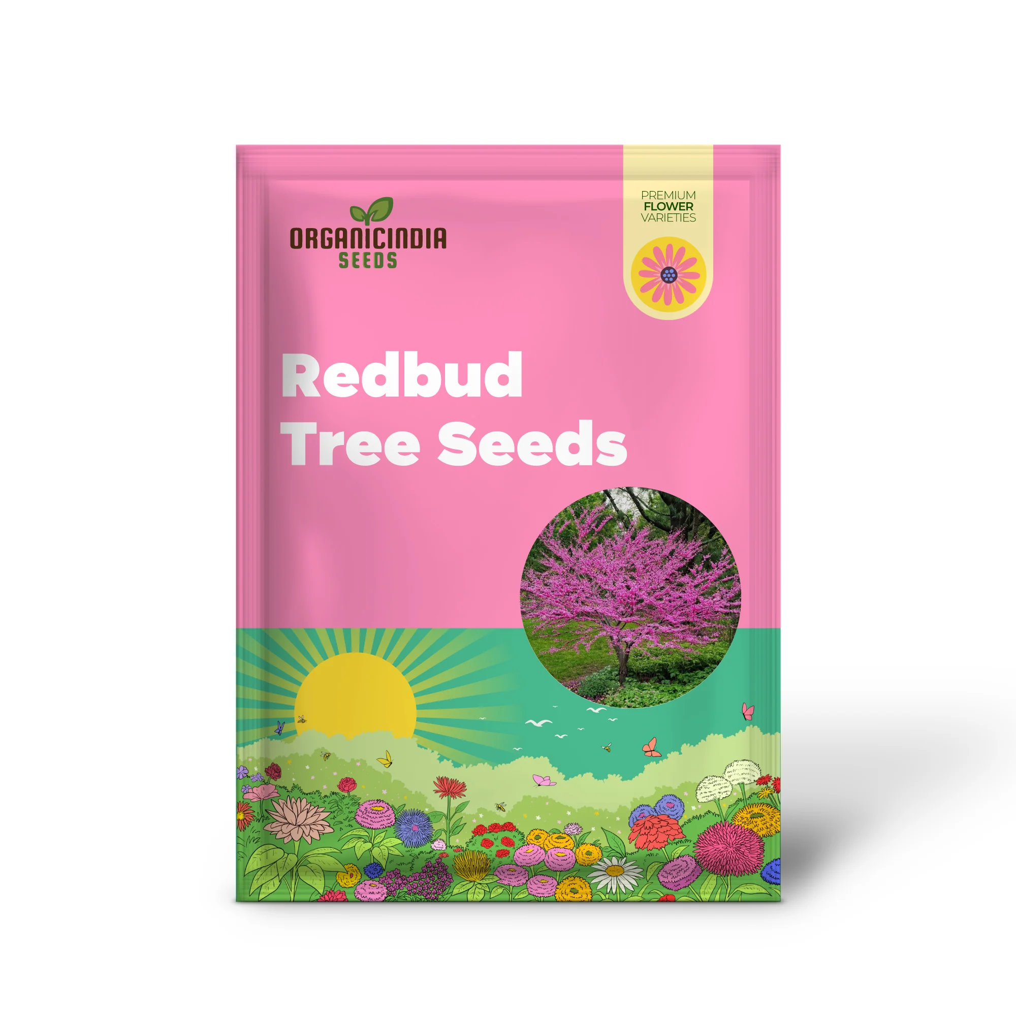 Eastern Redbud Tree Seeds – Cercis canadensis Ornamental Spring Blooms - Image 2