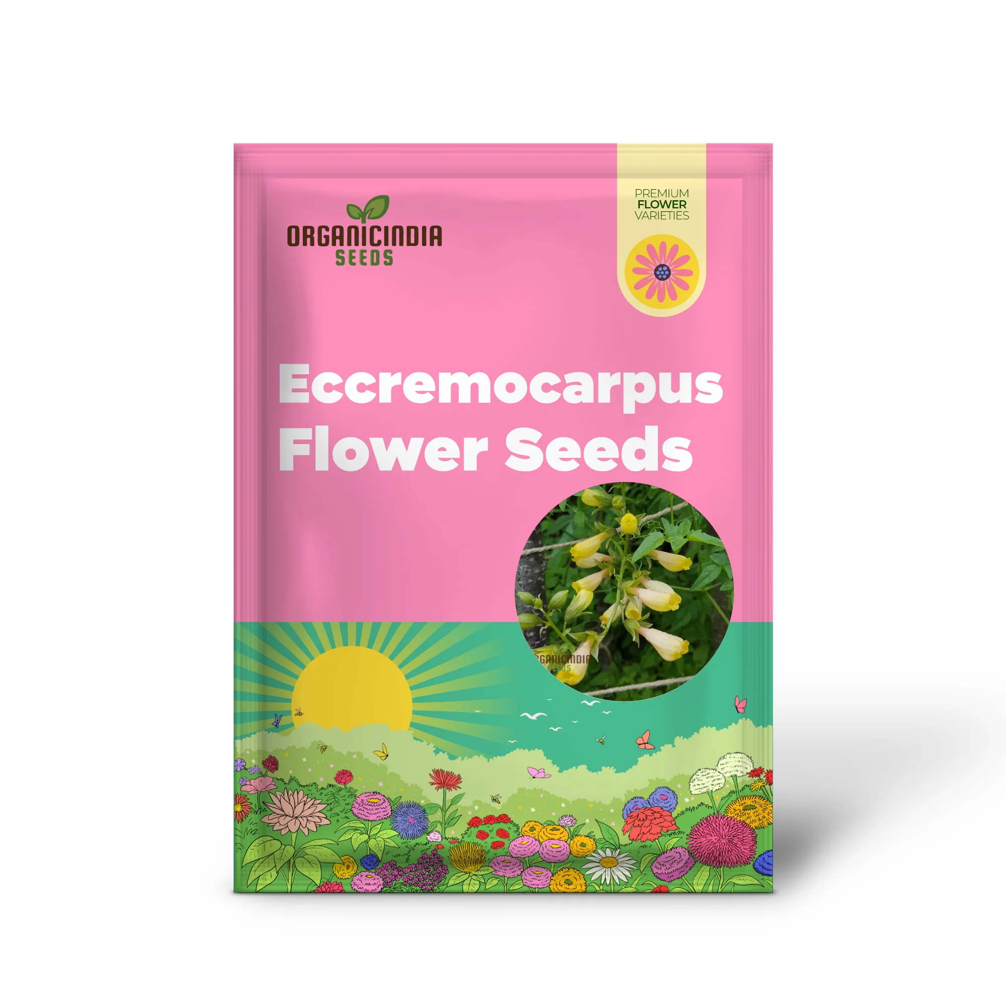 Eccremocarpus Scaber 'Tresco' Cream Flower Seeds For Planting, Soft Elegance for Your Garden Palette - Image 2