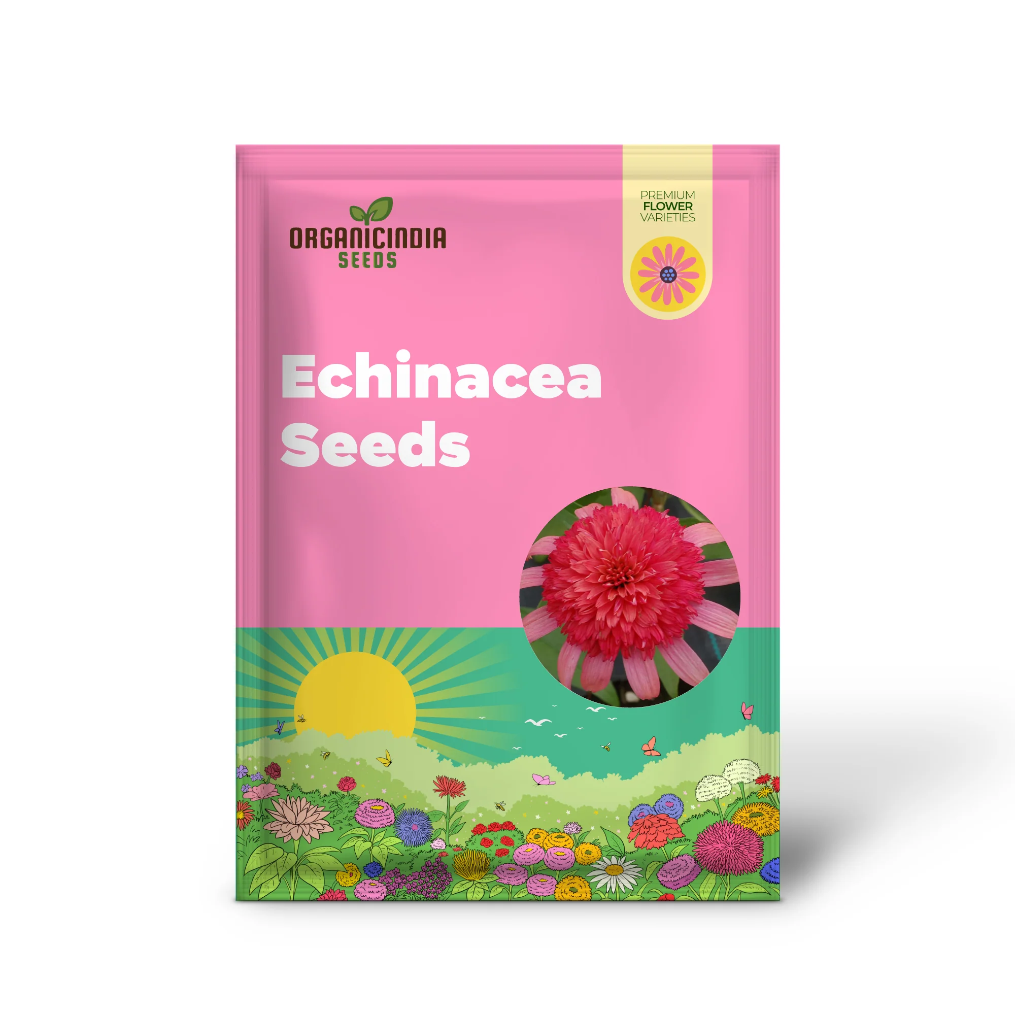 Echinacea Seeds (Secret Passion Echinacea Seeds) - Fragrant Perennial Blooms for Gardens - Image 2