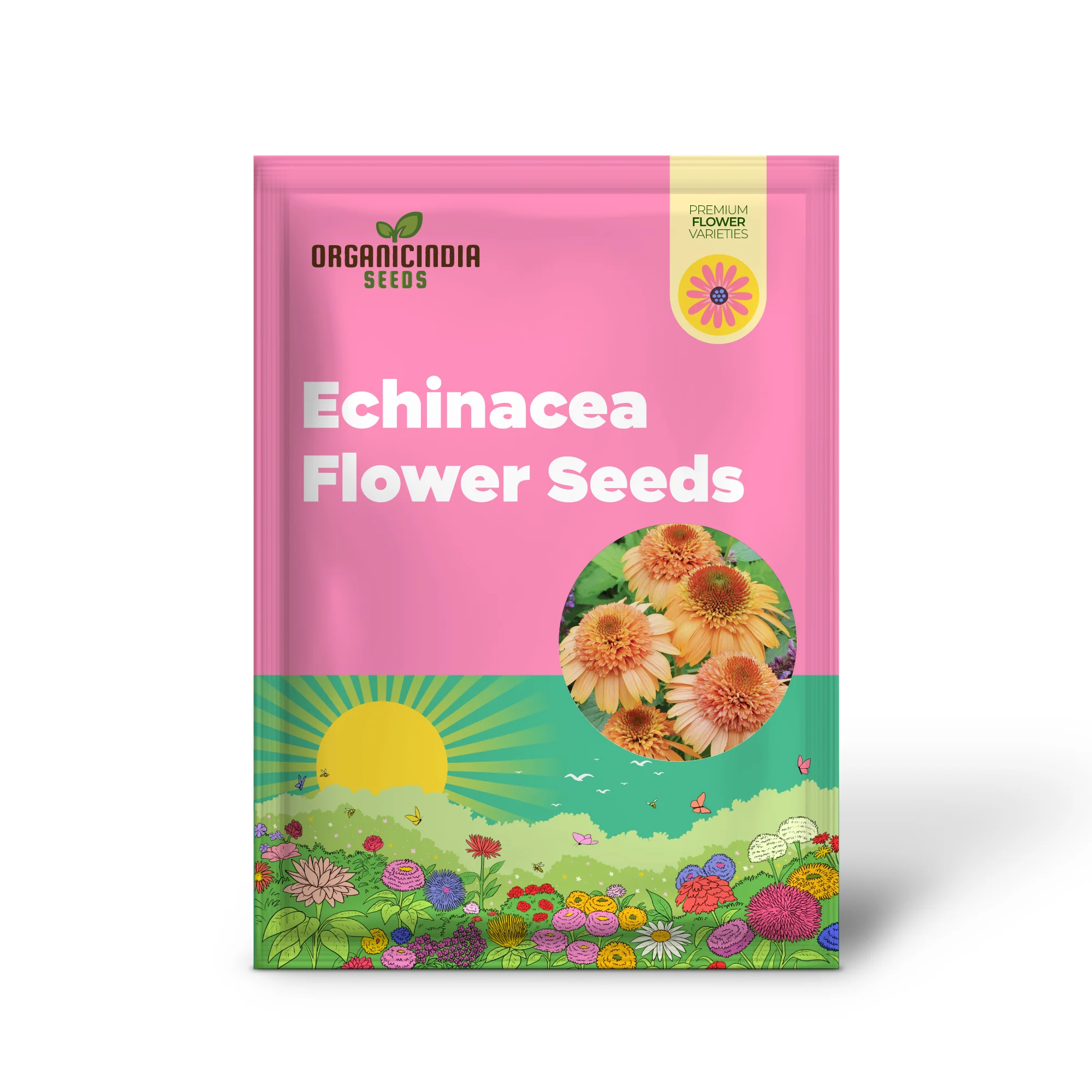 Echinacea 'Supreme Cantaloupe' Flower Seeds | Orange Coneflower Seeds for Planting - Image 2