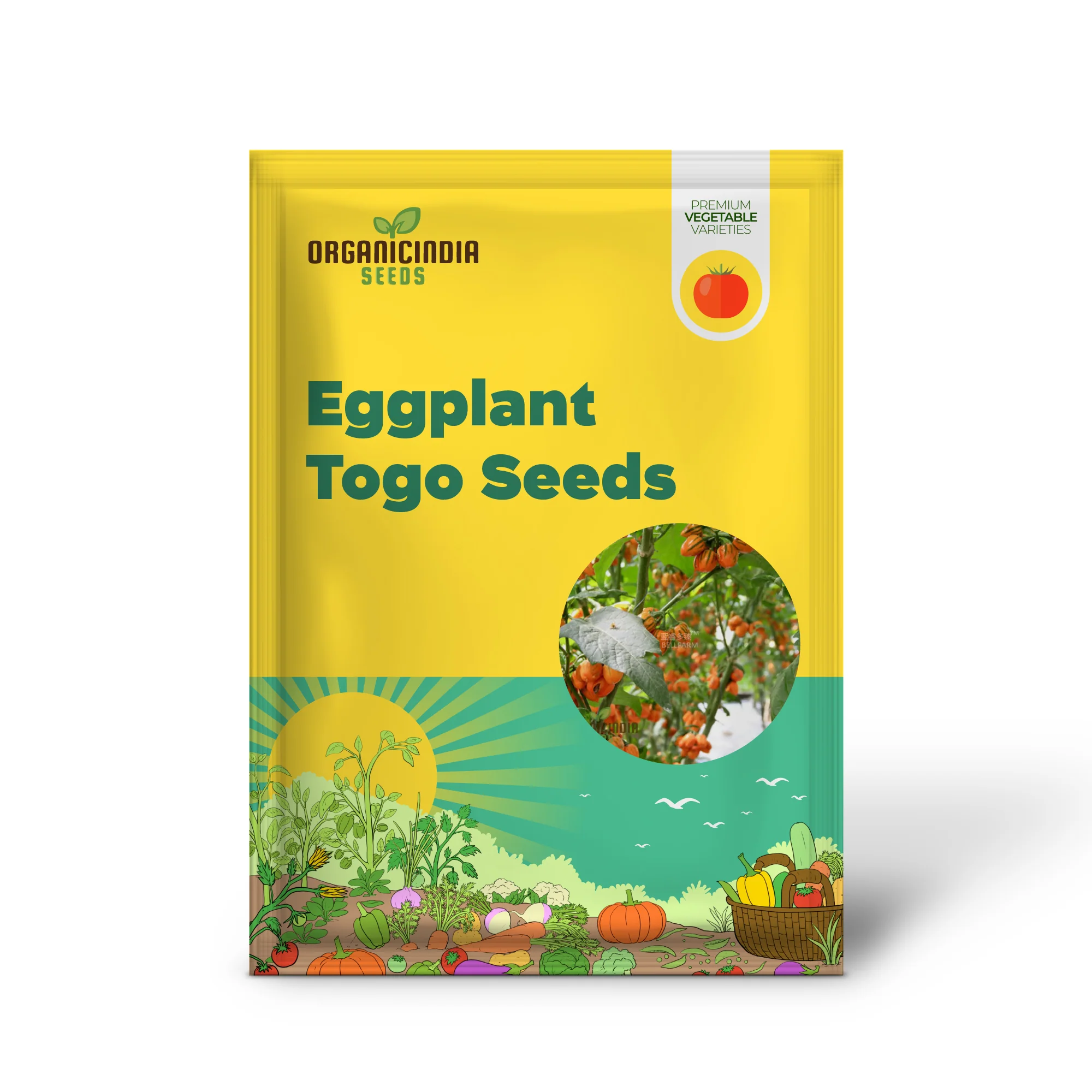 Eggplant - Togo Seeds for a Unique Gardening Experience and a Bountiful Harvest of Flavorful Produce! - Image 2