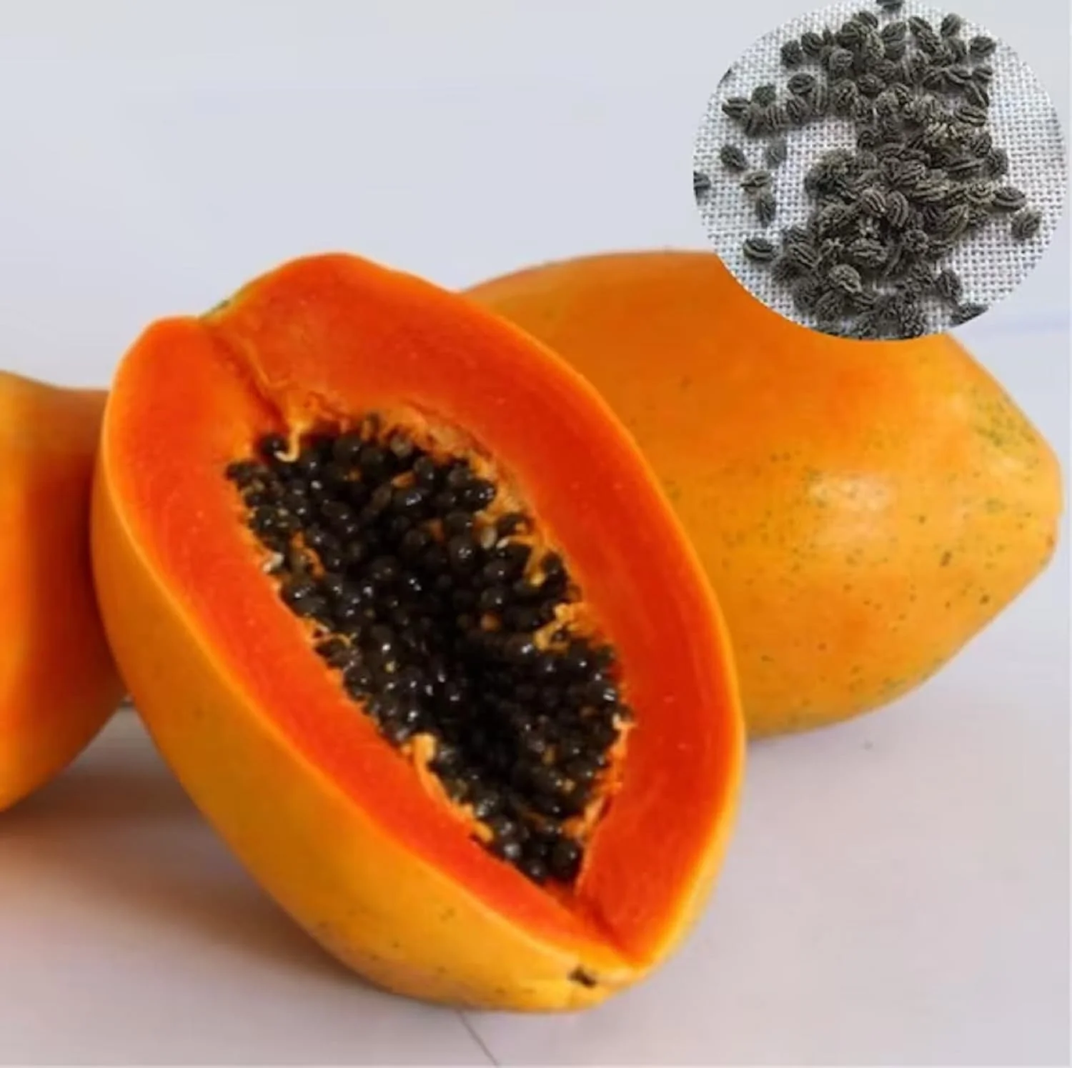 Eksotika Papaya Seeds for Planting – Sweet, Exotic Tropical Fruit - Image 3