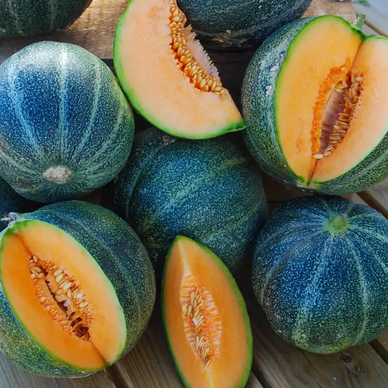 Emerald Gem Melon Seeds For Planting: Exquisite Heirloom Gardening Delight for Your Lush Green Oasis