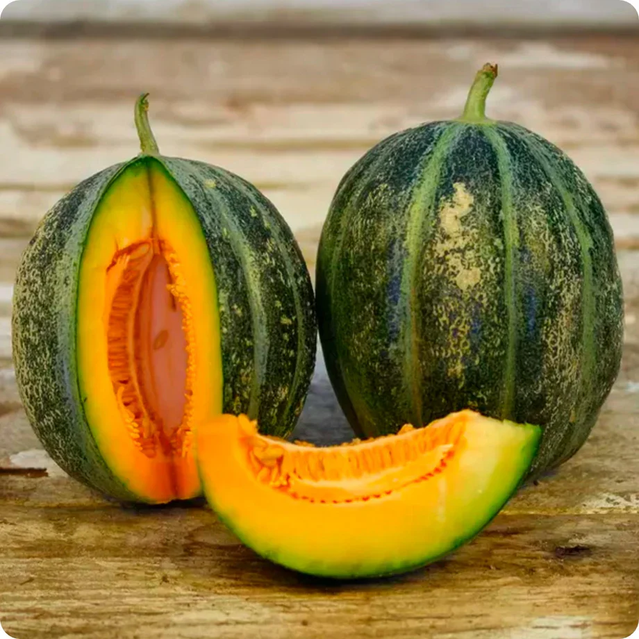 Emerald Gem Melon Seeds For Planting: Exquisite Heirloom Gardening Delight for Your Lush Green Oasis - Image 3