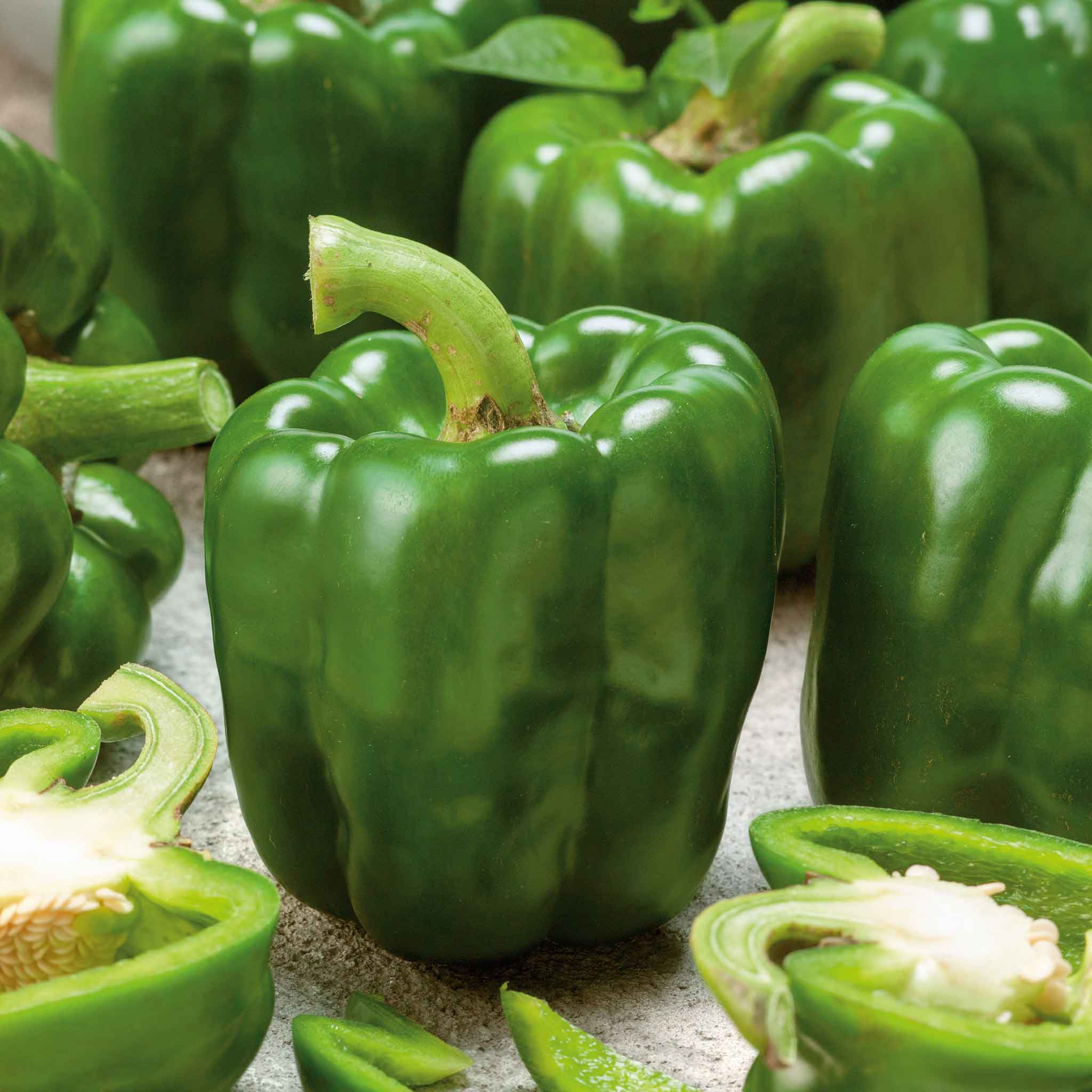 Emerald Giant Bell Pepper Seeds – Heirloom, Sweet & High-Yielding - Image 3