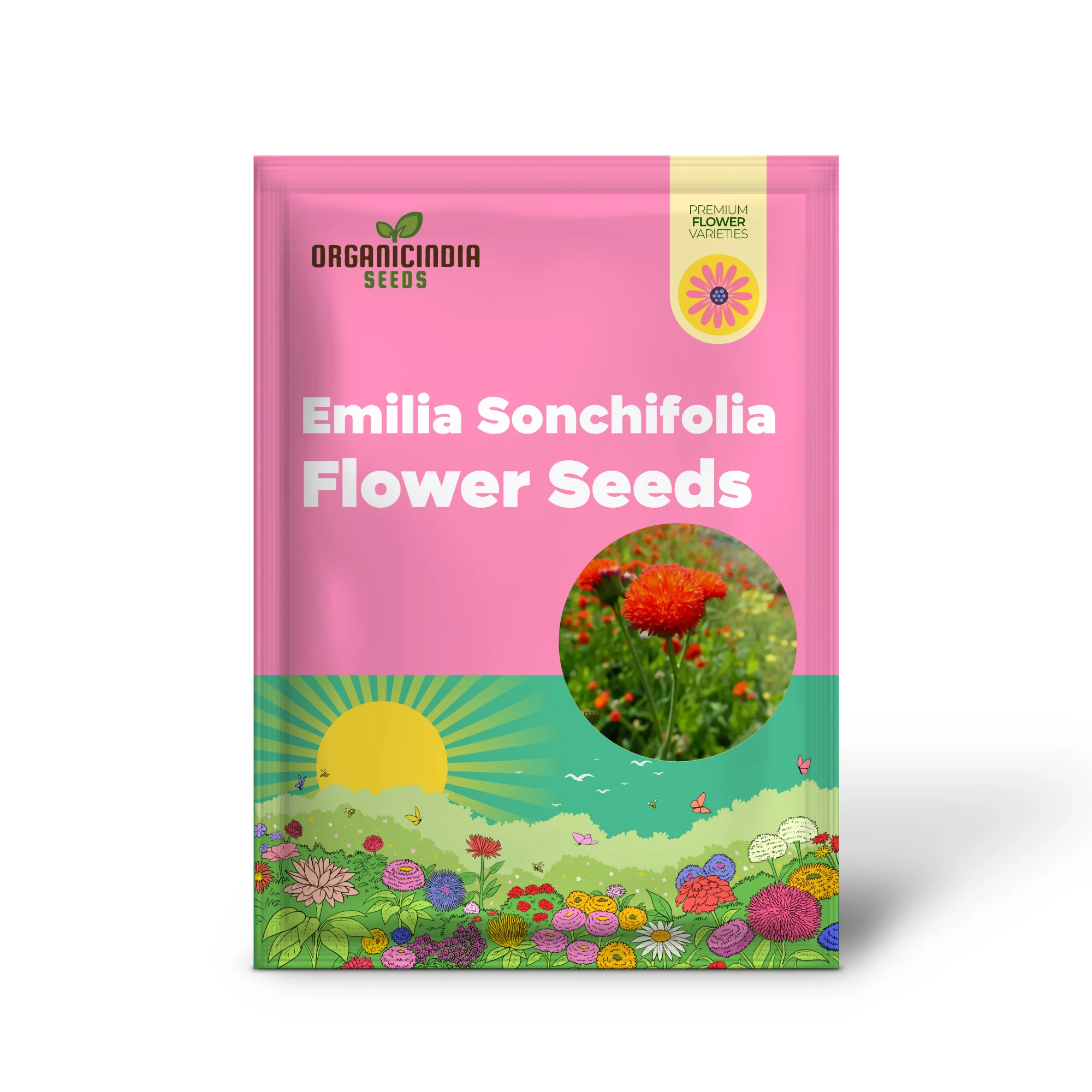 Emilia Sonchifolia 'Scarlet Magic' Flower Seeds For Planting, Adding Vibrant Color to Your Garden - Image 2