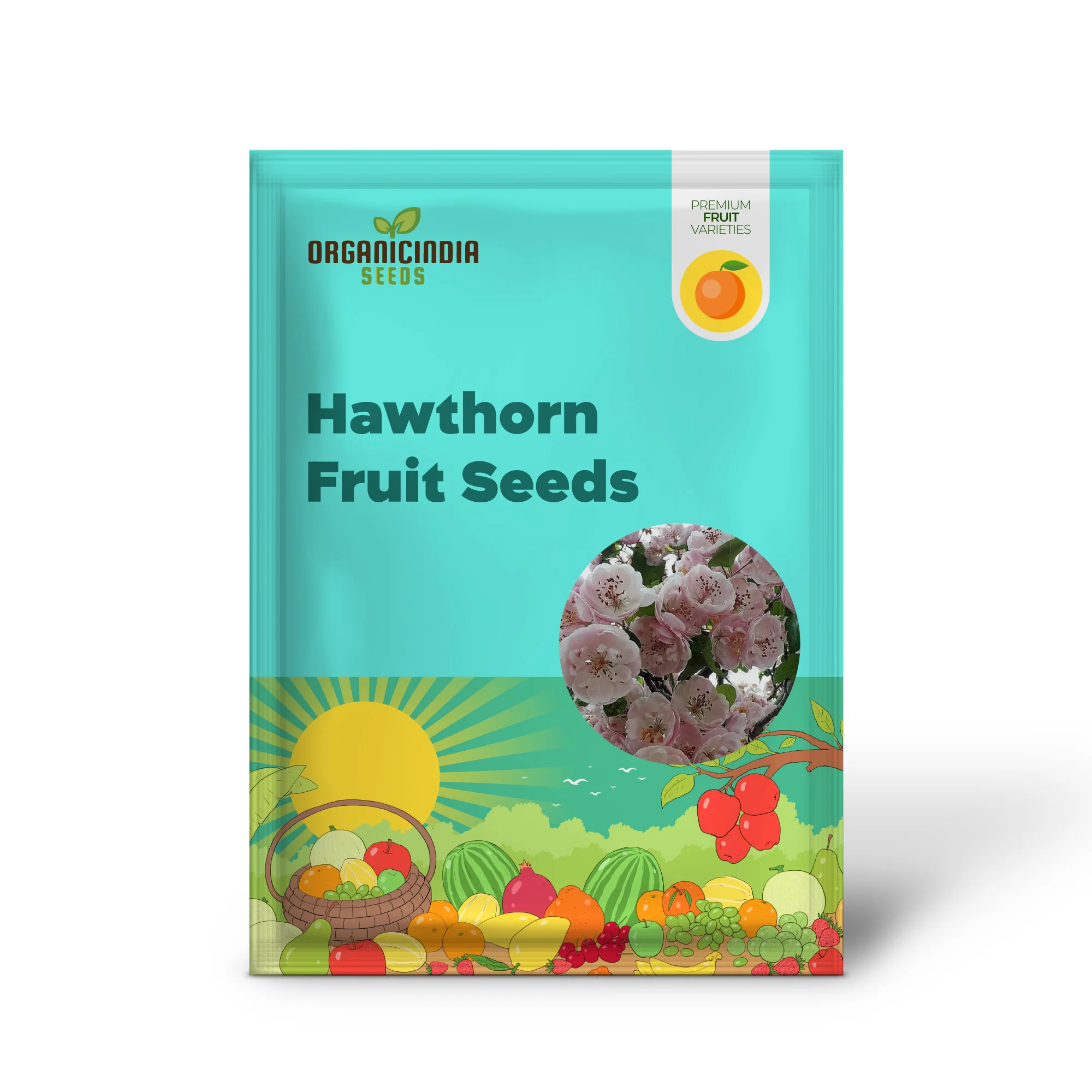 English Hawthorn Fruit Seeds - Image 2