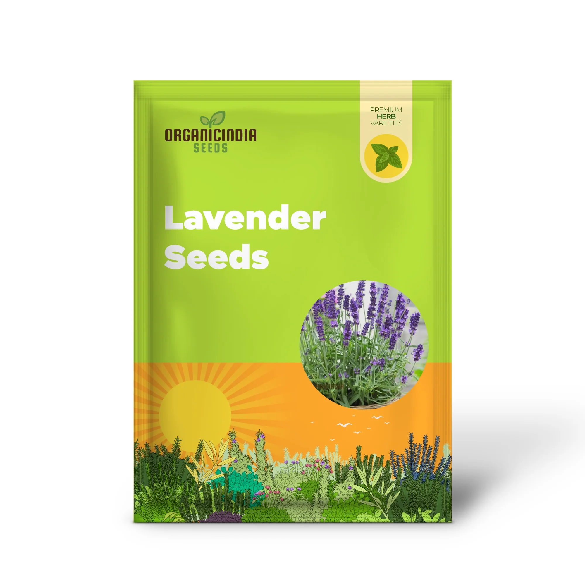 English Lavender Seeds – Fragrant, Hardy Perennial for Garden Borders & Aromatic Landscapes - Image 2