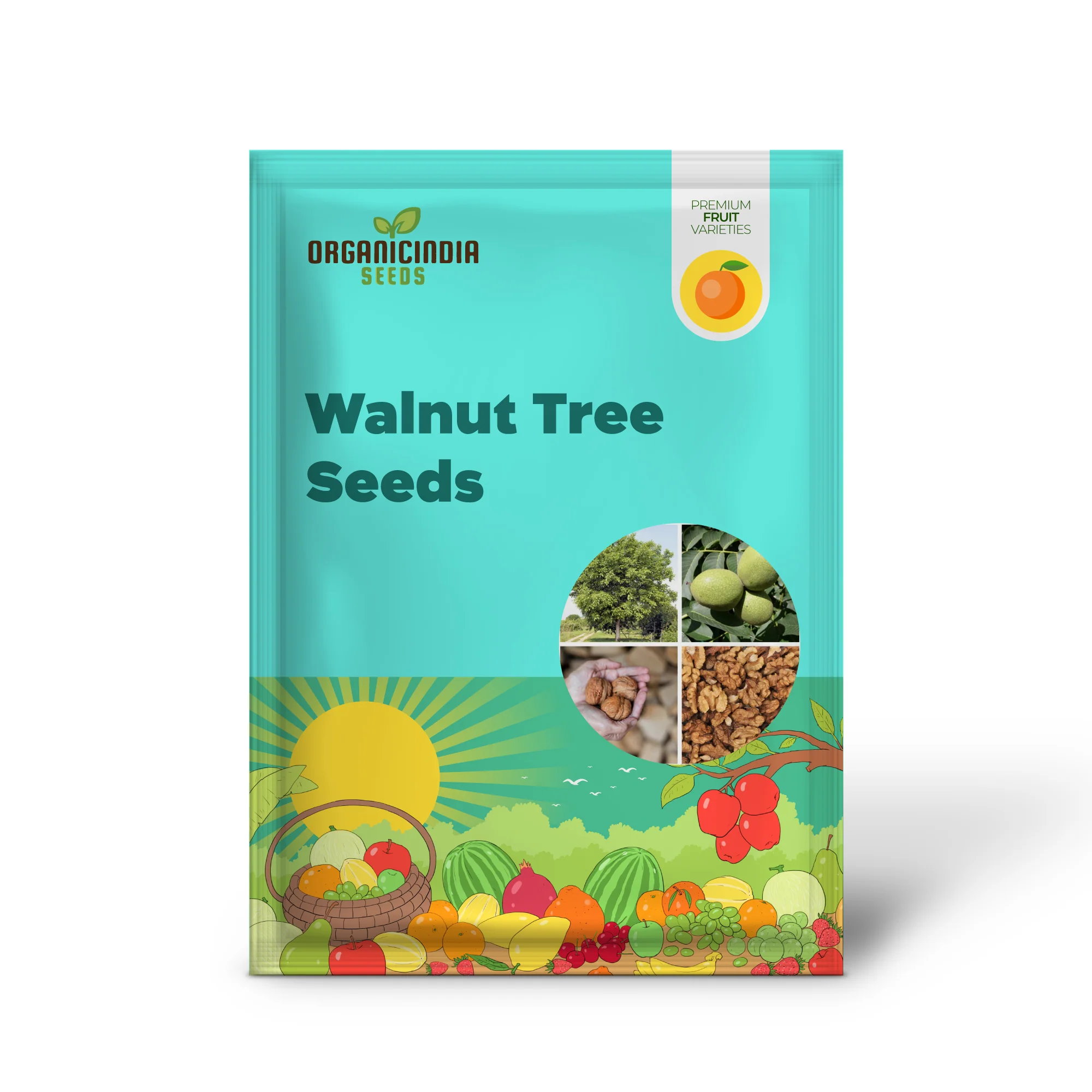 English Walnut Tree Seeds - Image 3