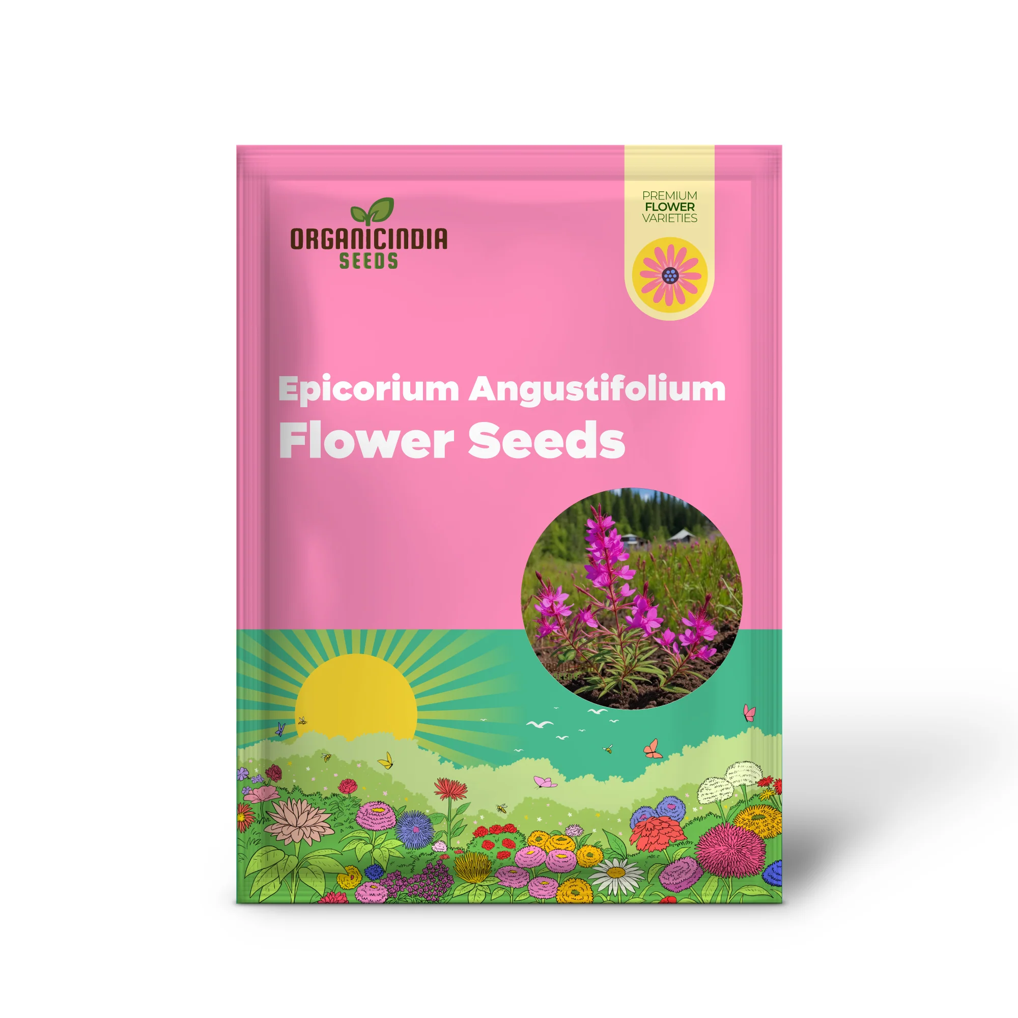 Epicorium Angustifolium Seeds – Vibrant Fireweed Variety for Gardens - Image 2