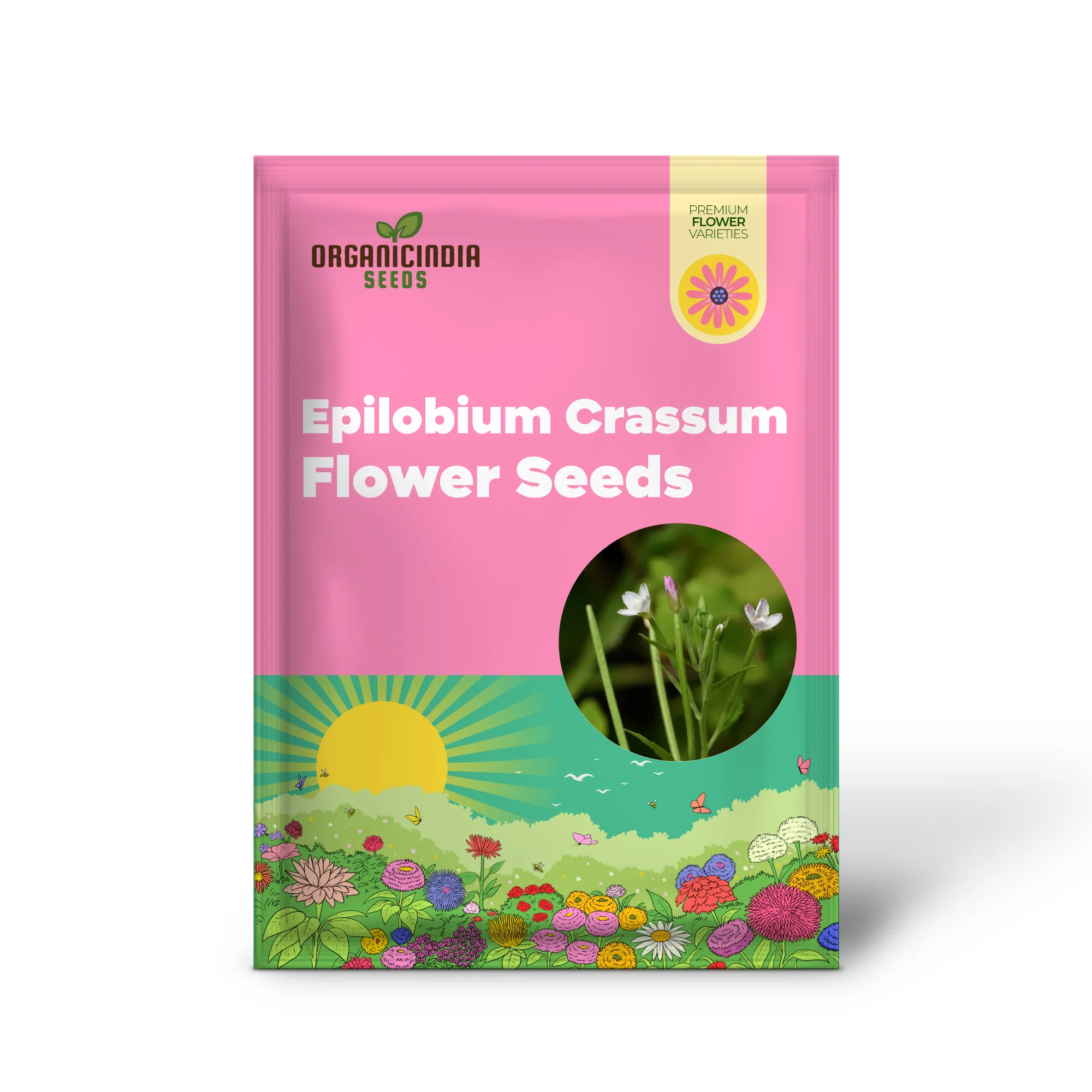 Epilobium Crassum Flower Seeds For Planting, Cultivating Delicate Beauty in Your Garden - Image 2