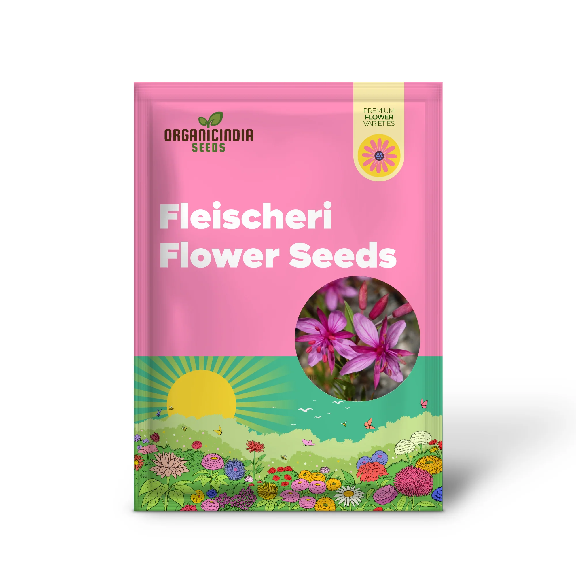 Epilobium Fleischeri Flower Seeds For Planting, Graceful Wildflowers for Your Garden - Image 2