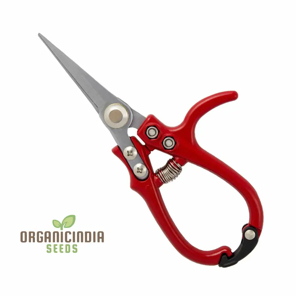 Ergo Snips by OrganicIndiaSeeds