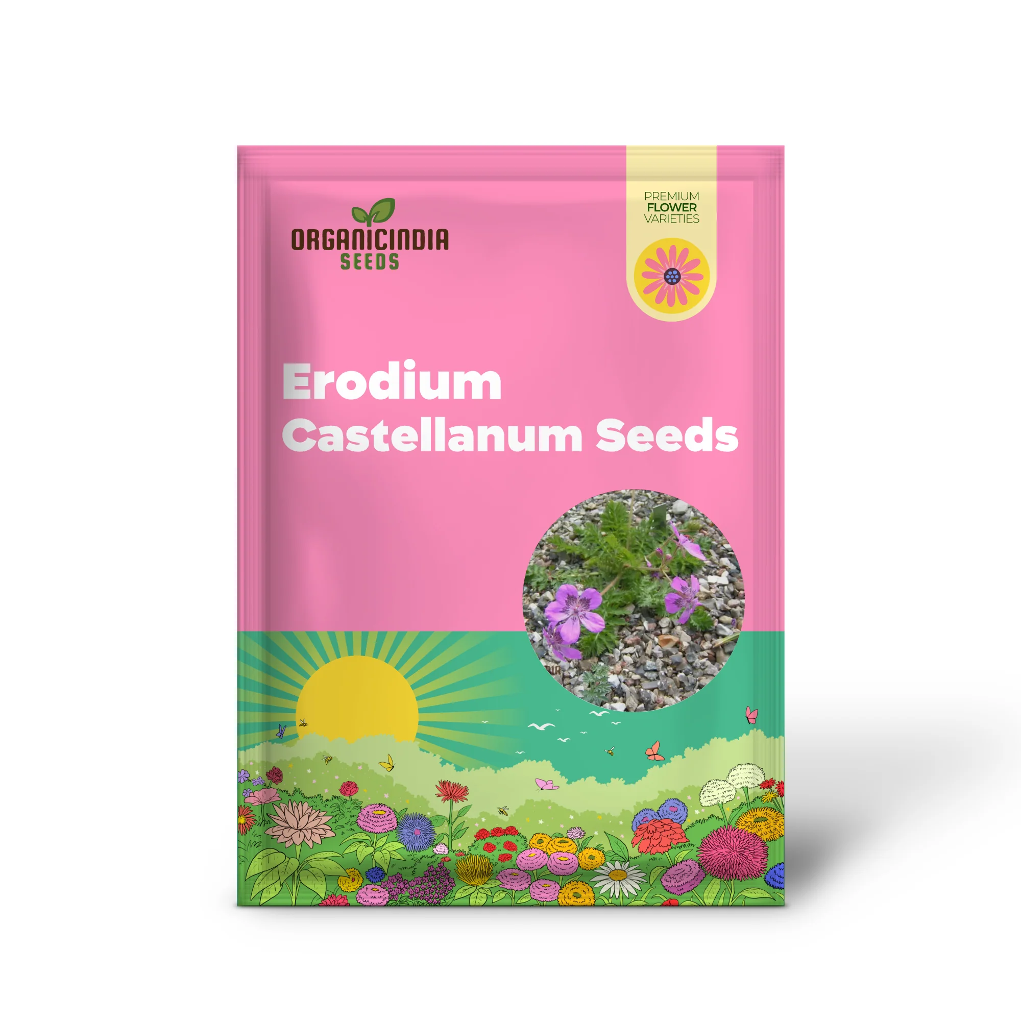 Erodium Castellanum Seeds for Planting - Drought-Tolerant Perennial Flower Seeds - Image 2